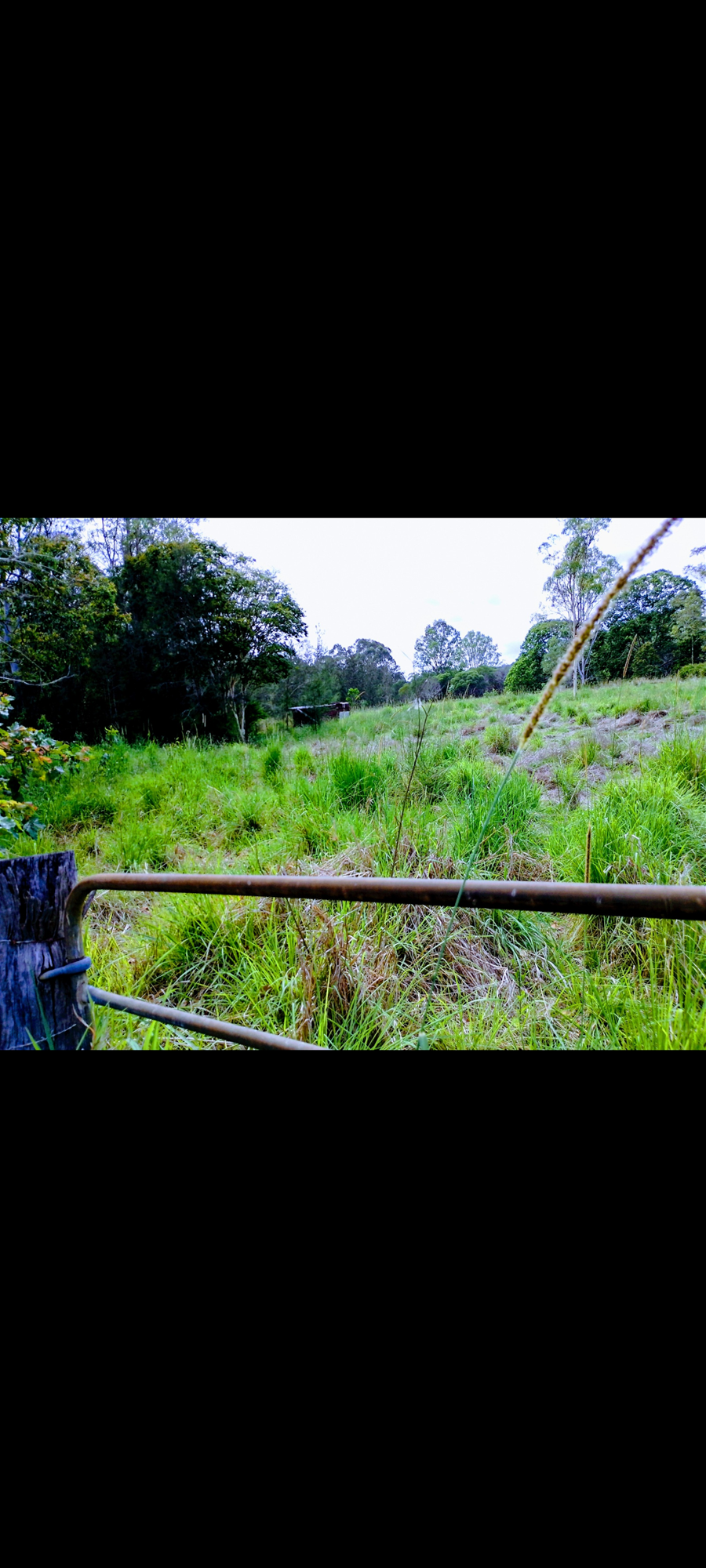 Large acreage home for sale in Logan Reserve, photo 11