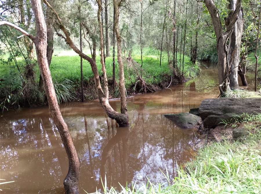 Large acreage home for sale in Logan Reserve, photo 2