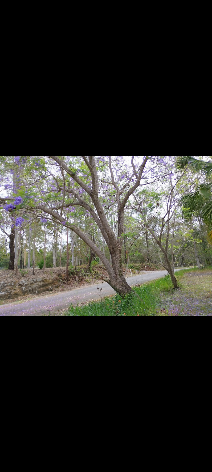 Acreage lifestyle in sought-after location, photo 15