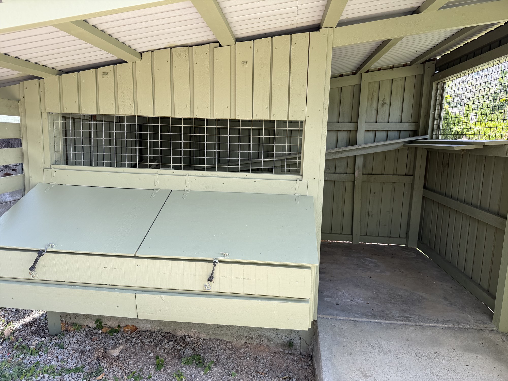 Rare 1,693m² Block in Annandale -Space, Privacy & Self-Sufficiency, photo 25