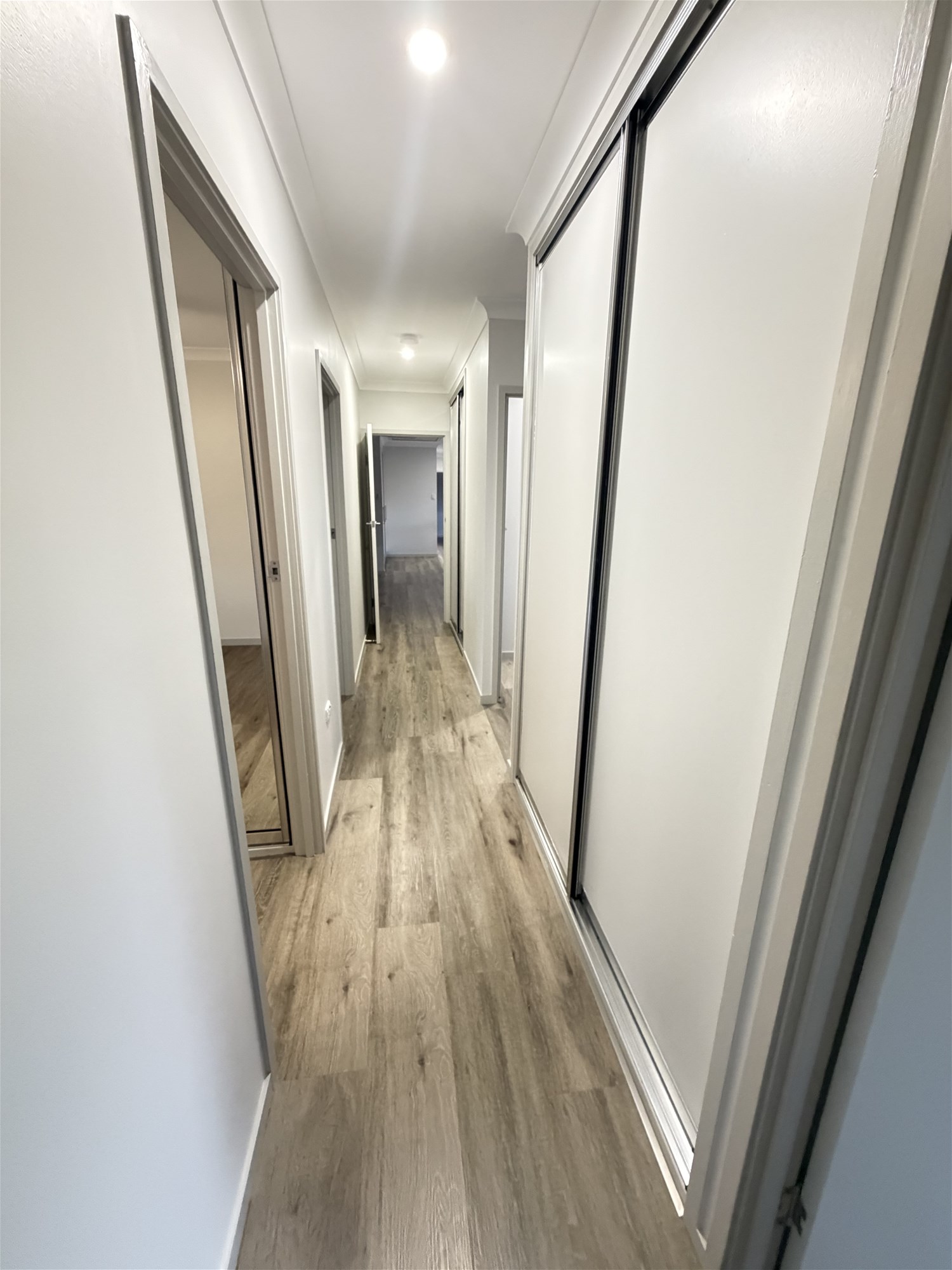 Rare 1,693m² Block in Annandale -Space, Privacy & Self-Sufficiency, photo 17