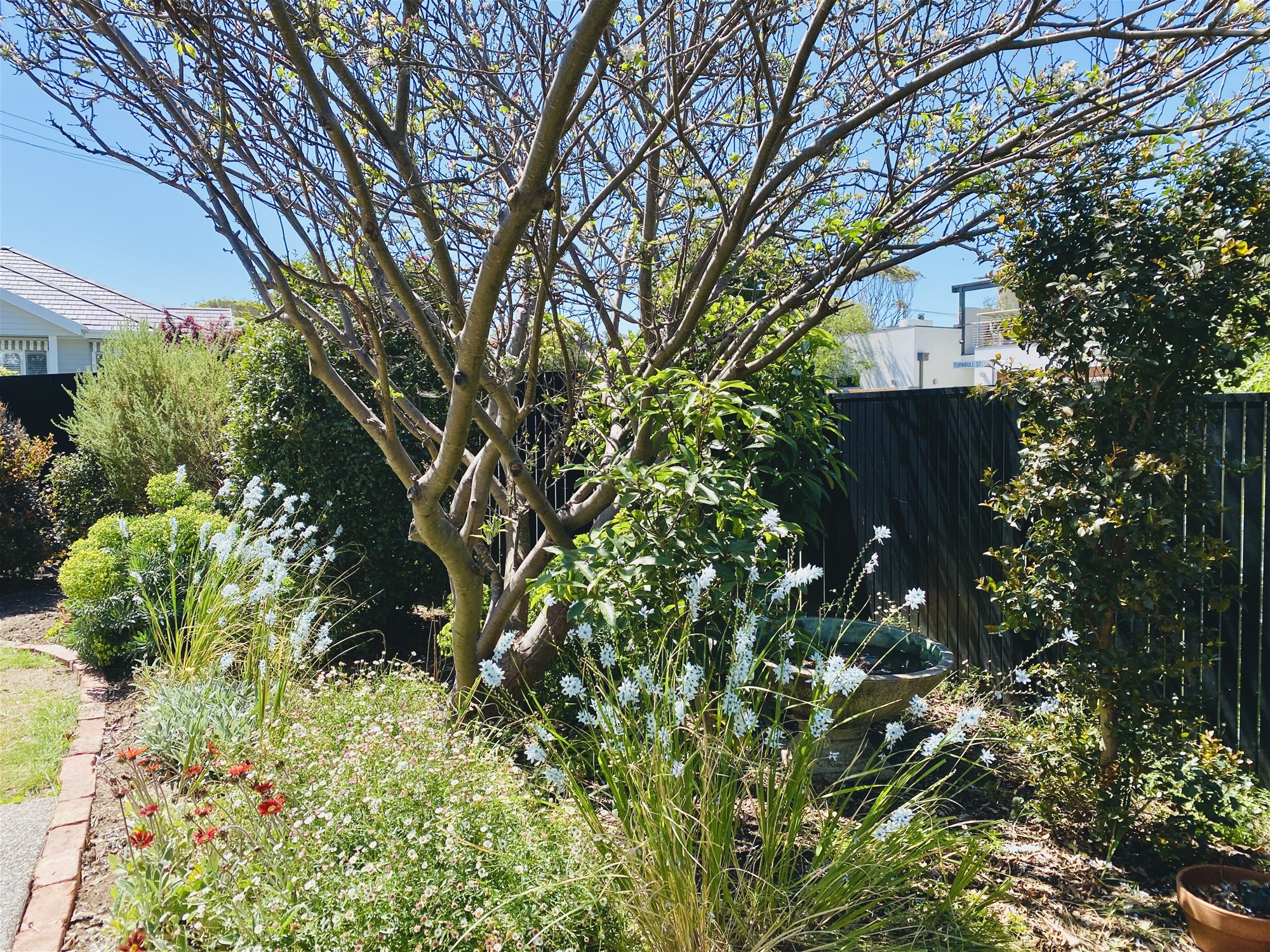 Perfectly positioned in the heart of Mornington, photo 16