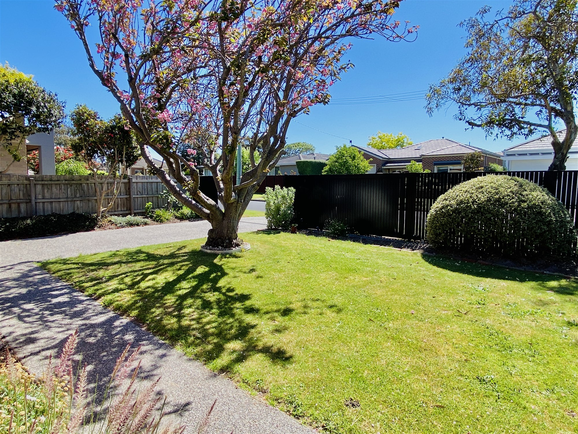 Perfectly positioned in the heart of Mornington, photo 4