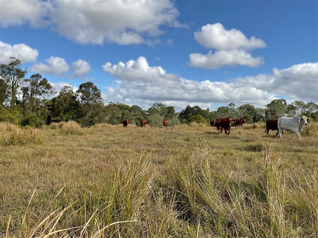 Rare Private Land in Prestigous 9