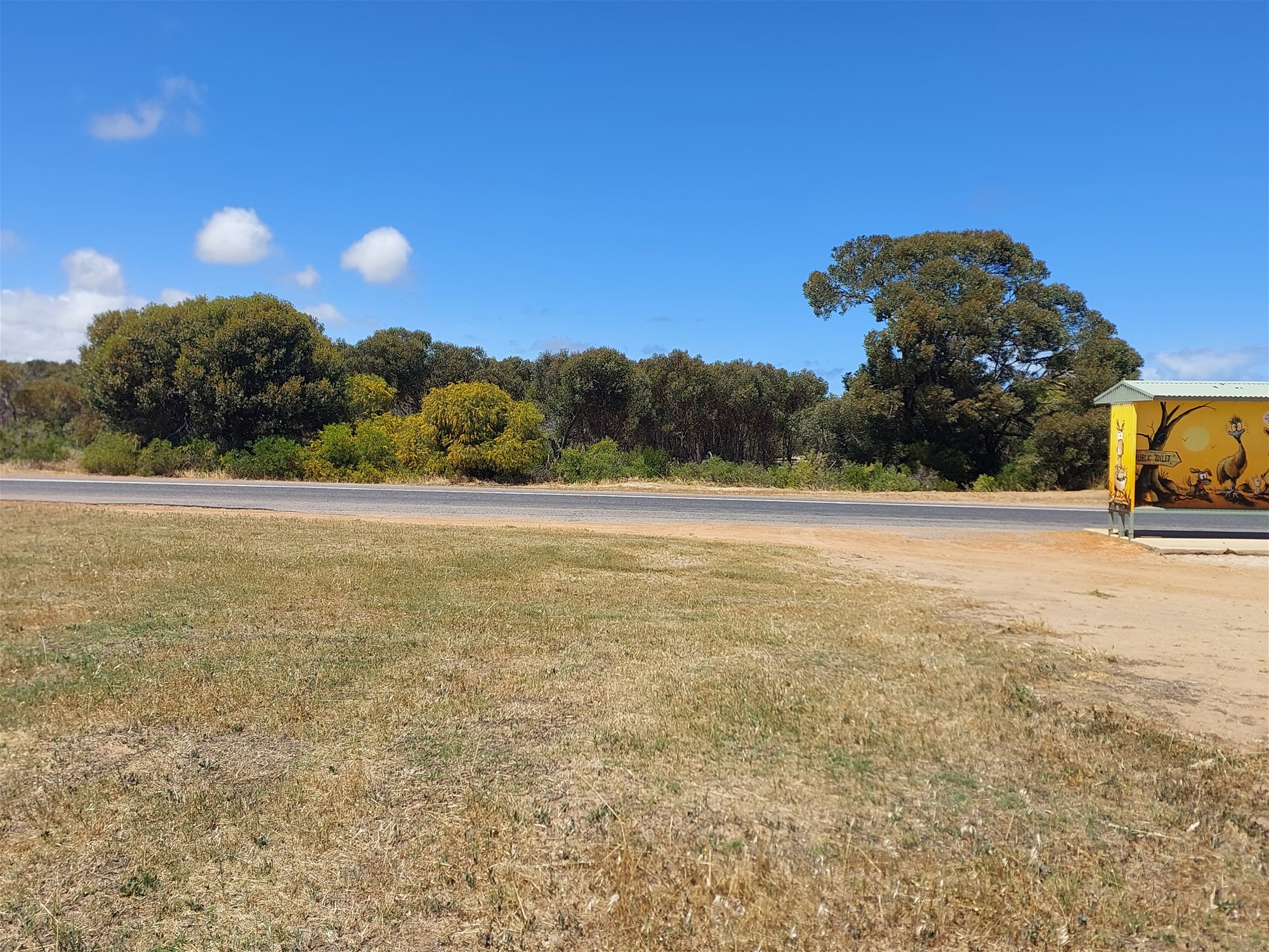 Direct views of grenough River 2