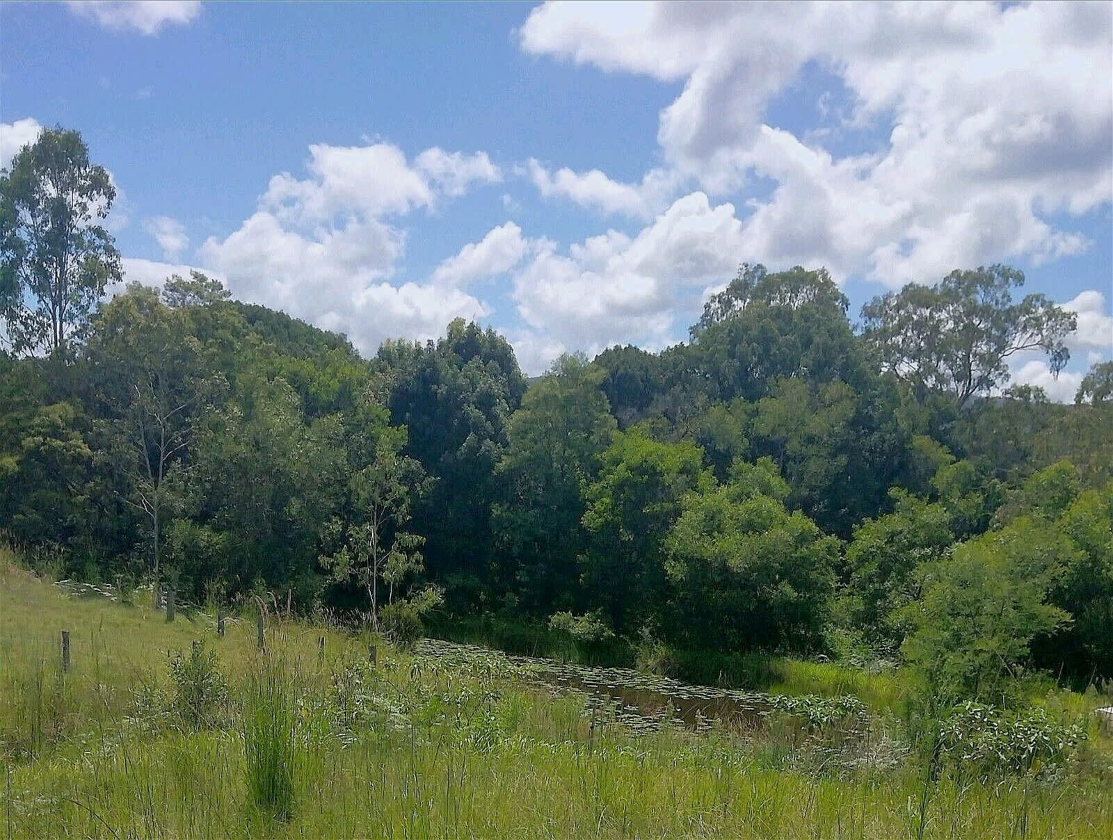 Northern rivers flood free land 2