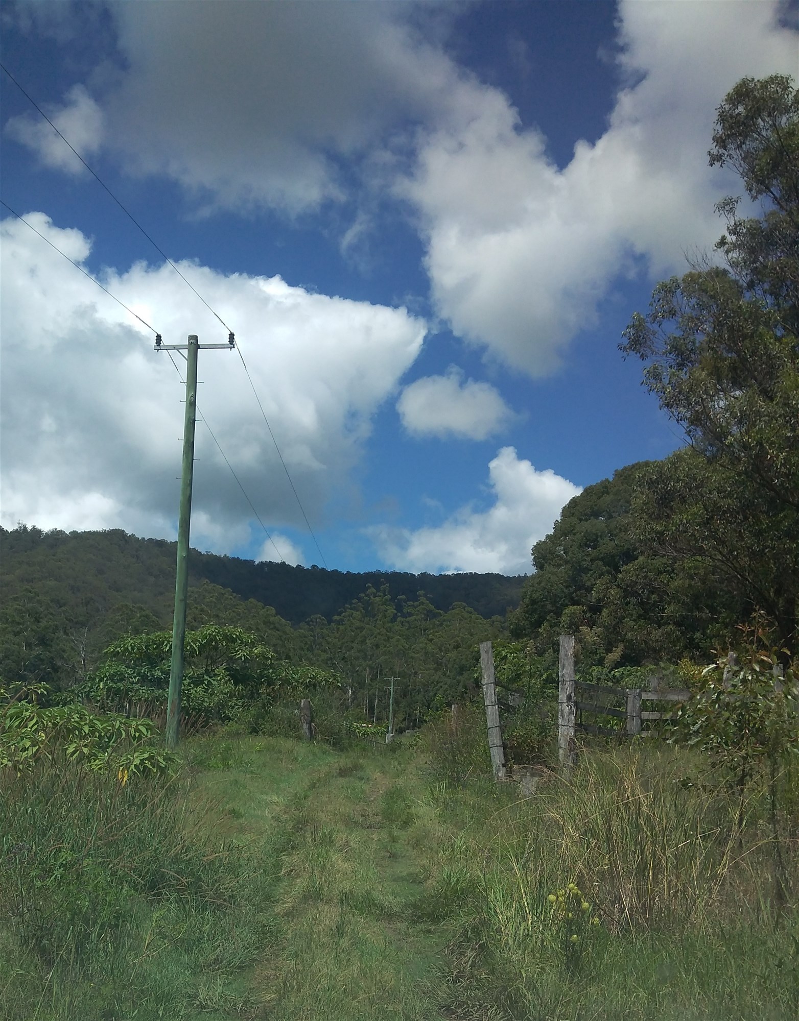 Northern rivers flood free land 3