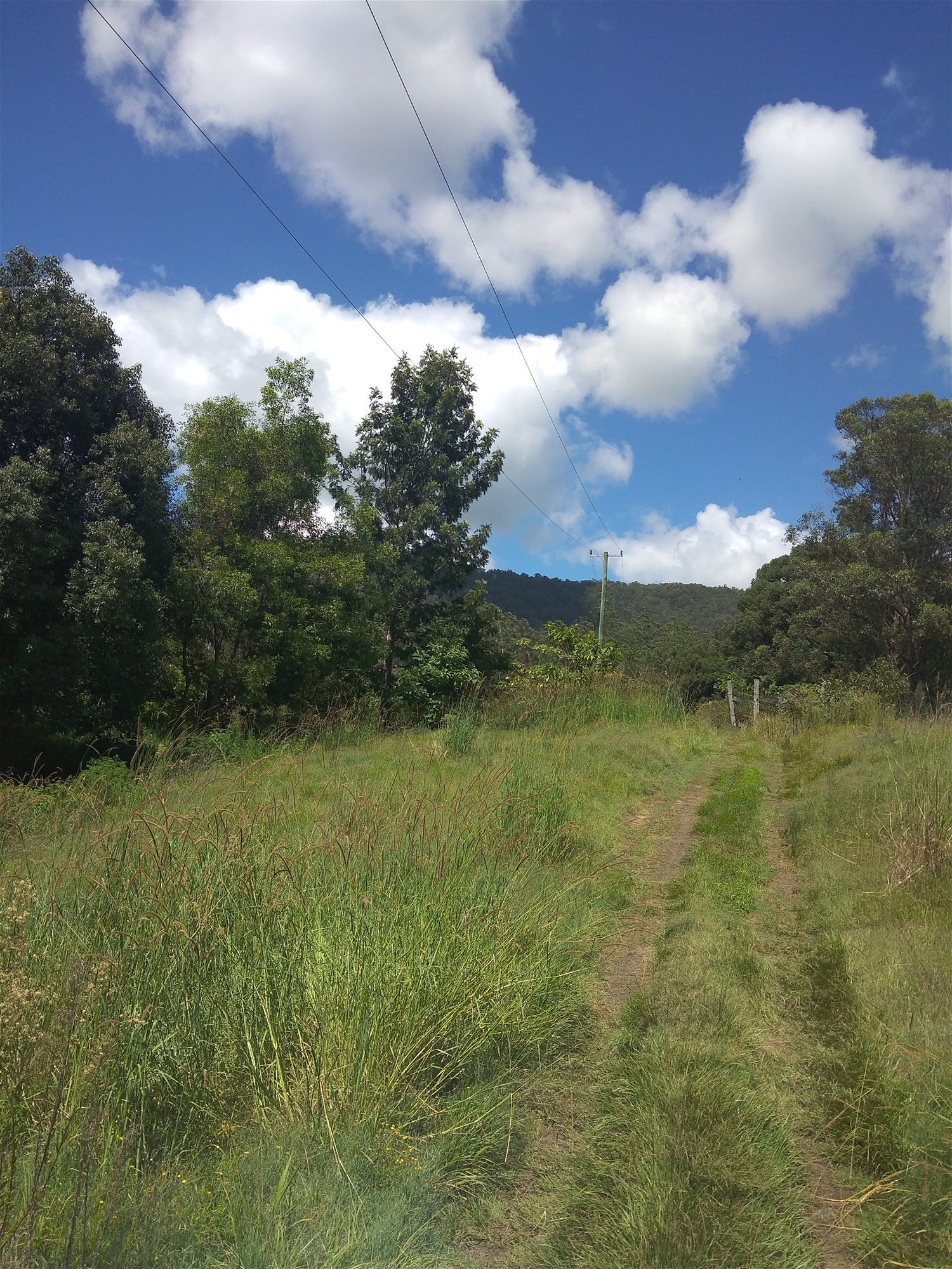 Northern rivers flood free land 5