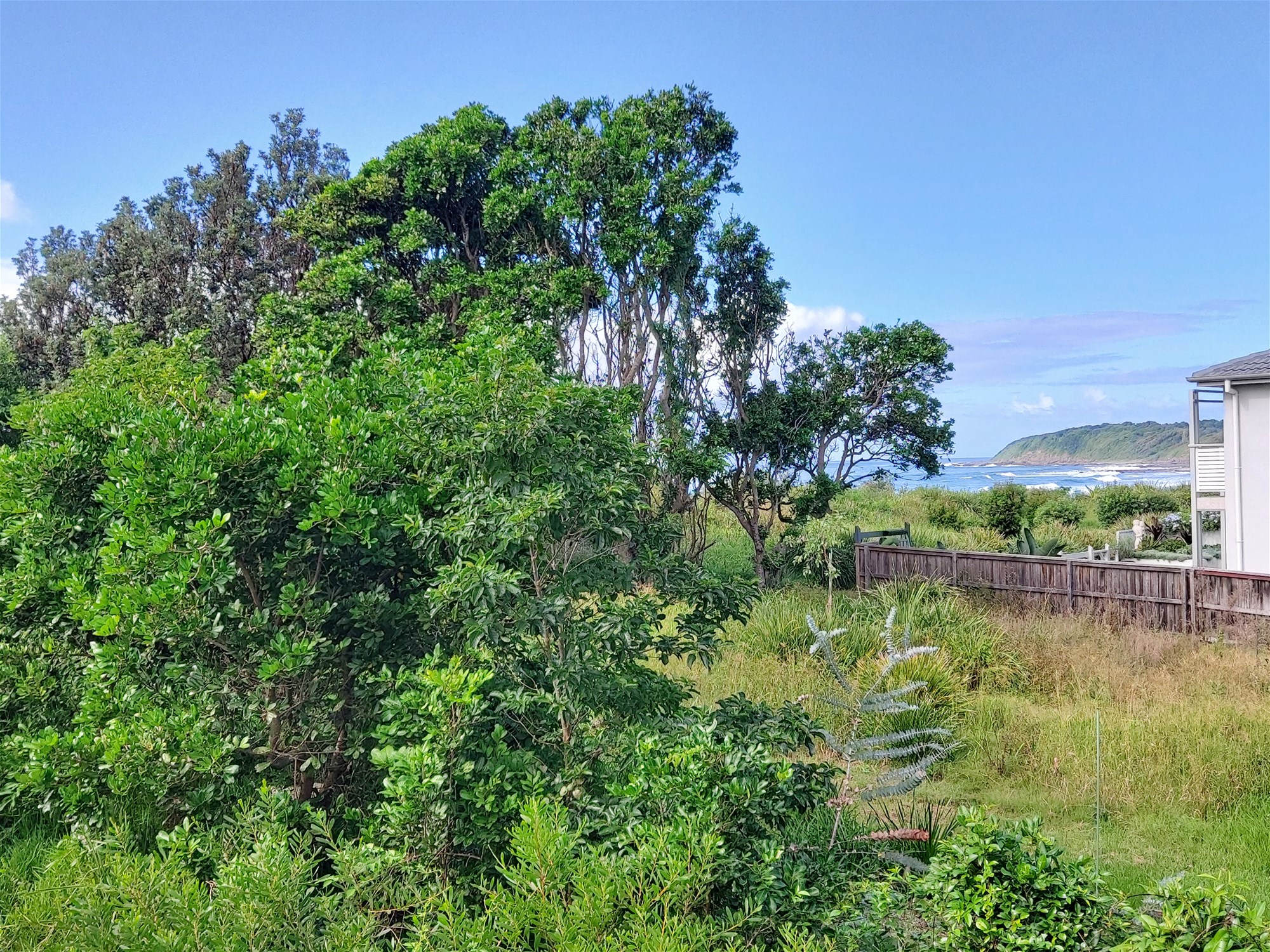 Beachfront 3