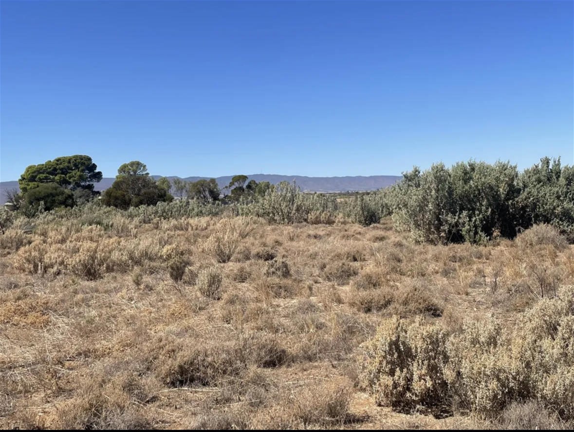 HOLIDAY GETAWAY OPPORTUNITY 3