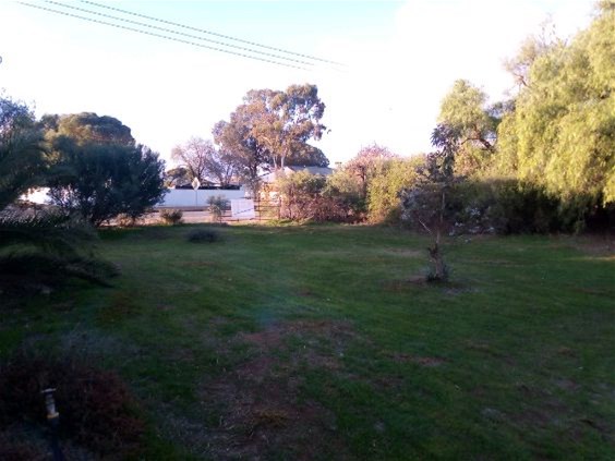 Half acre block of land 3