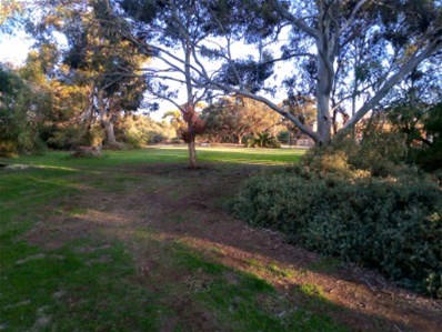 Half acre block of land 2