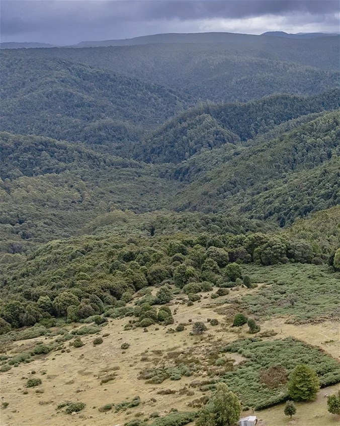 Views to the mountains 5