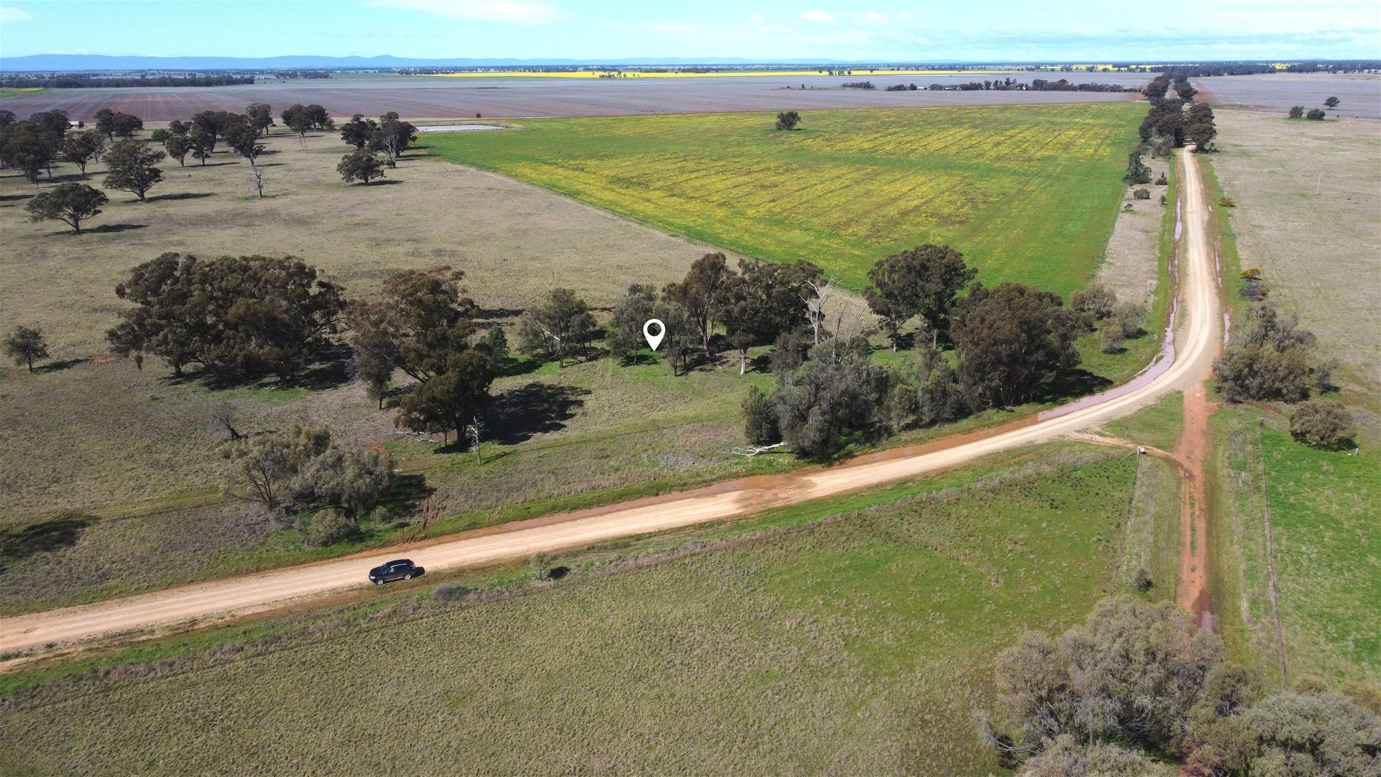 Lot 1 Roseholm Road, Peak Hill For Sale by Farmbuy.com - image 4