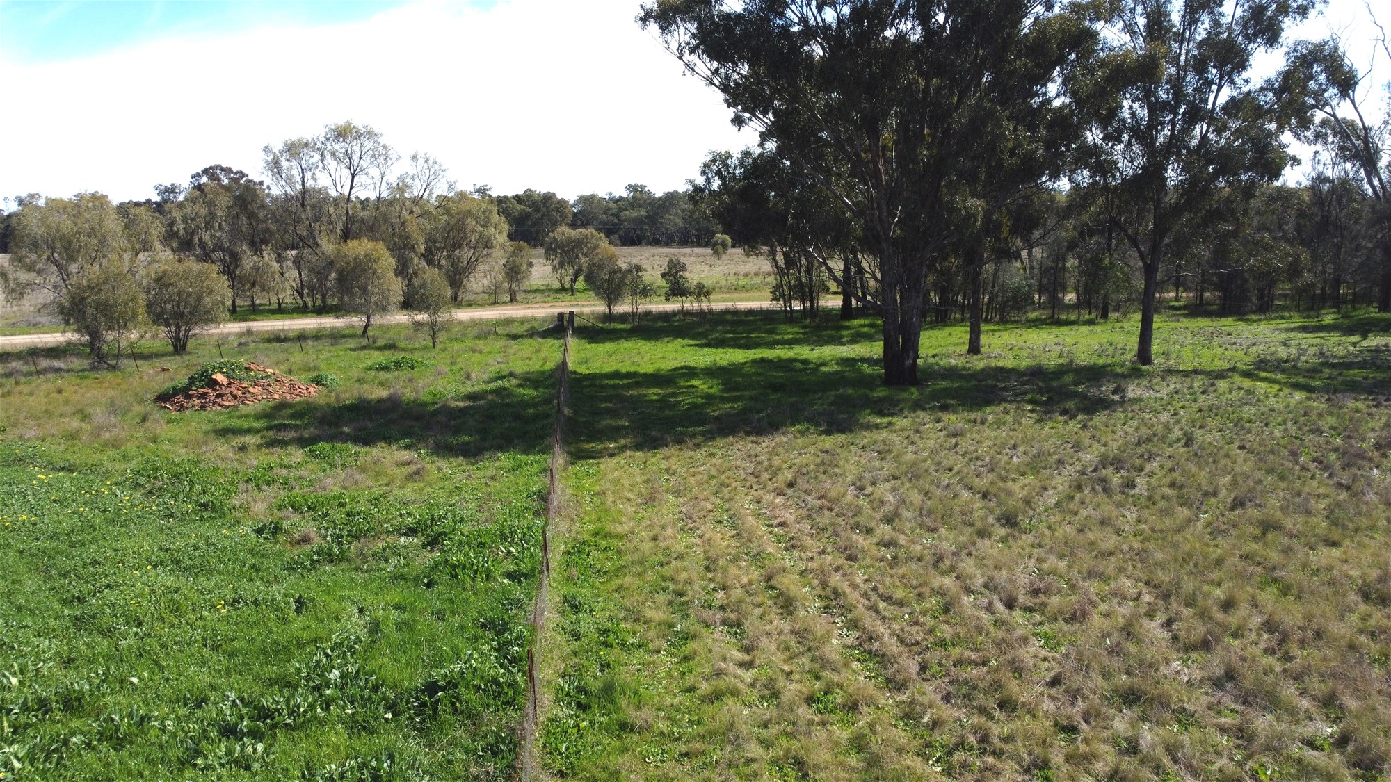 Lot 1 Roseholm Road, Peak Hill For Sale by Farmbuy.com - image 7