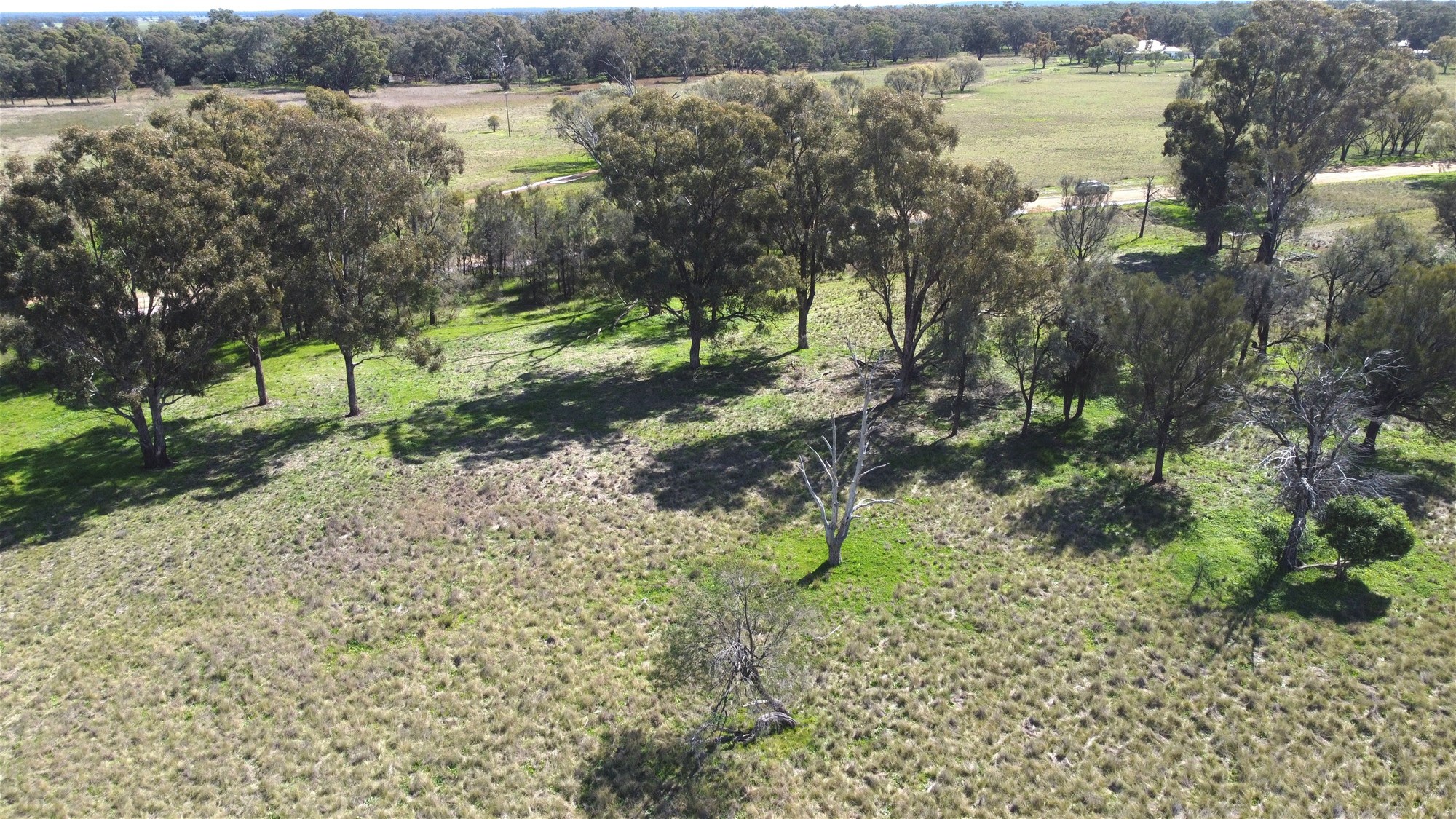 Lot 1 Roseholm Road, Peak Hill For Sale by Farmbuy.com - image 8