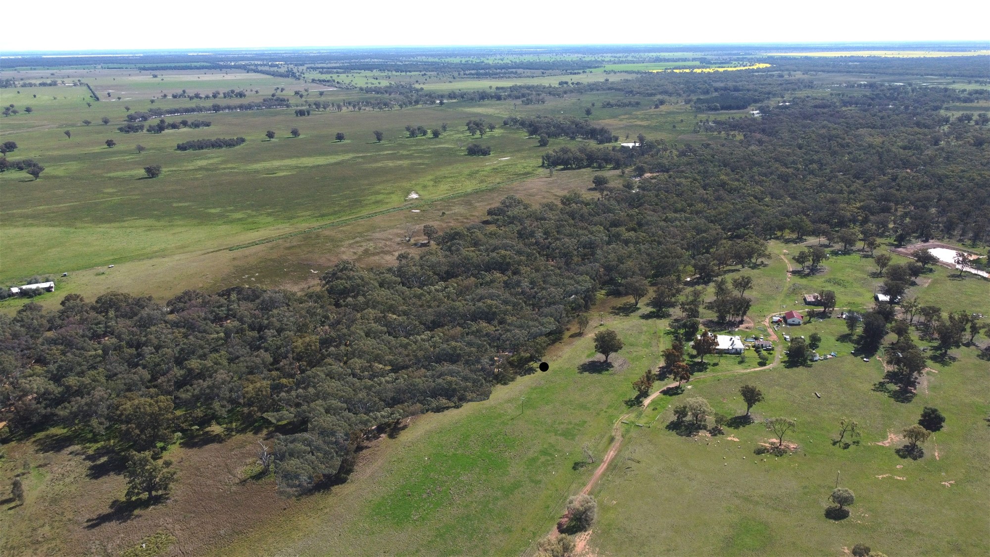 Lot 1 Roseholm Road, Peak Hill For Sale by Farmbuy.com - image 9