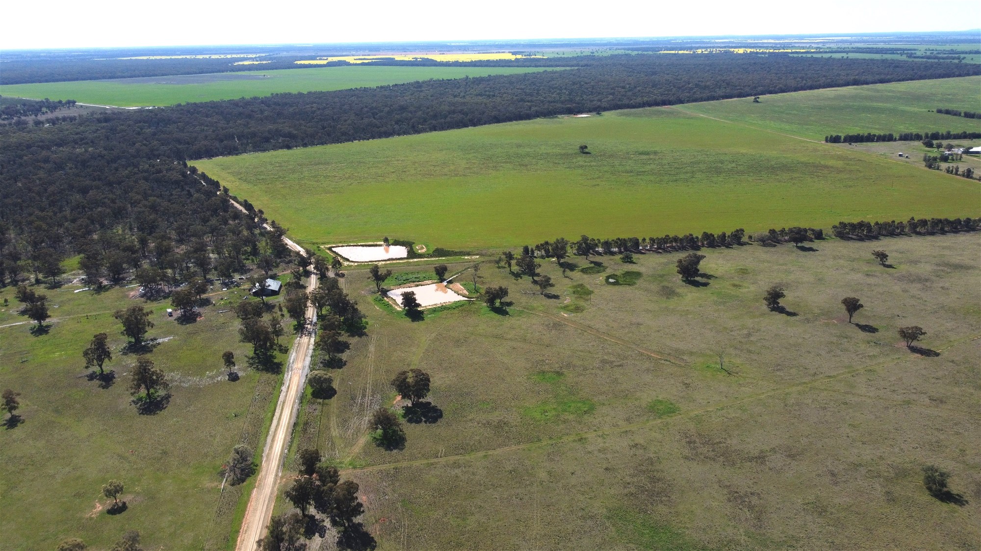 Lot 1 Roseholm Road, Peak Hill For Sale by Farmbuy.com - image 10