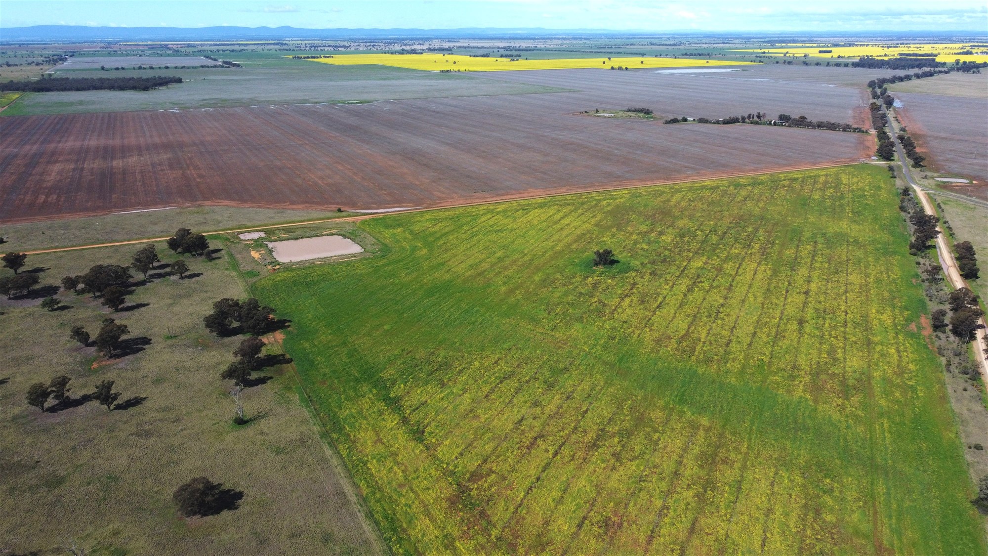 Lot 1 Roseholm Road, Peak Hill For Sale by Farmbuy.com - image 12