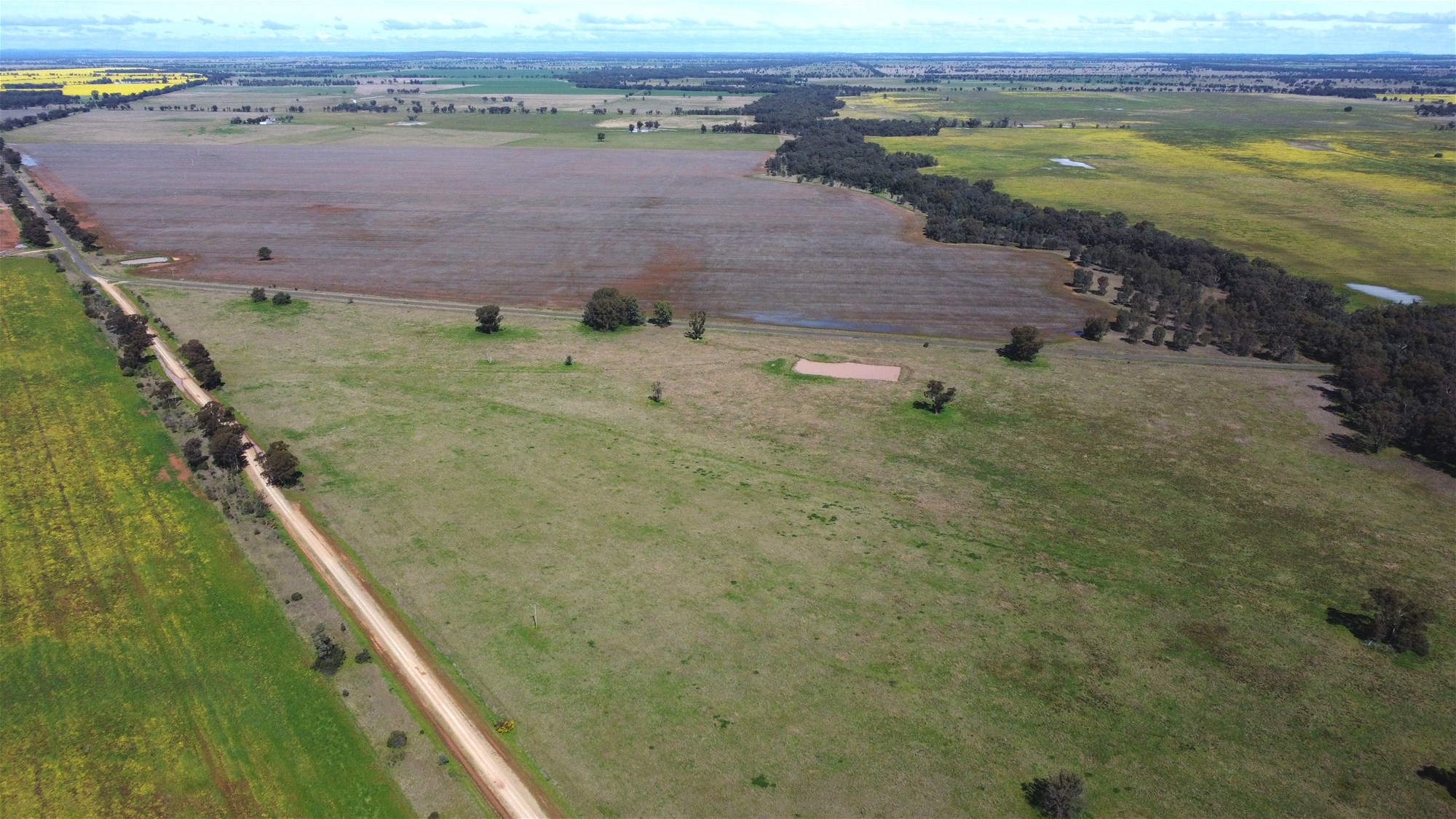 Lot 1 Roseholm Road, Peak Hill For Sale by Farmbuy.com - image 13