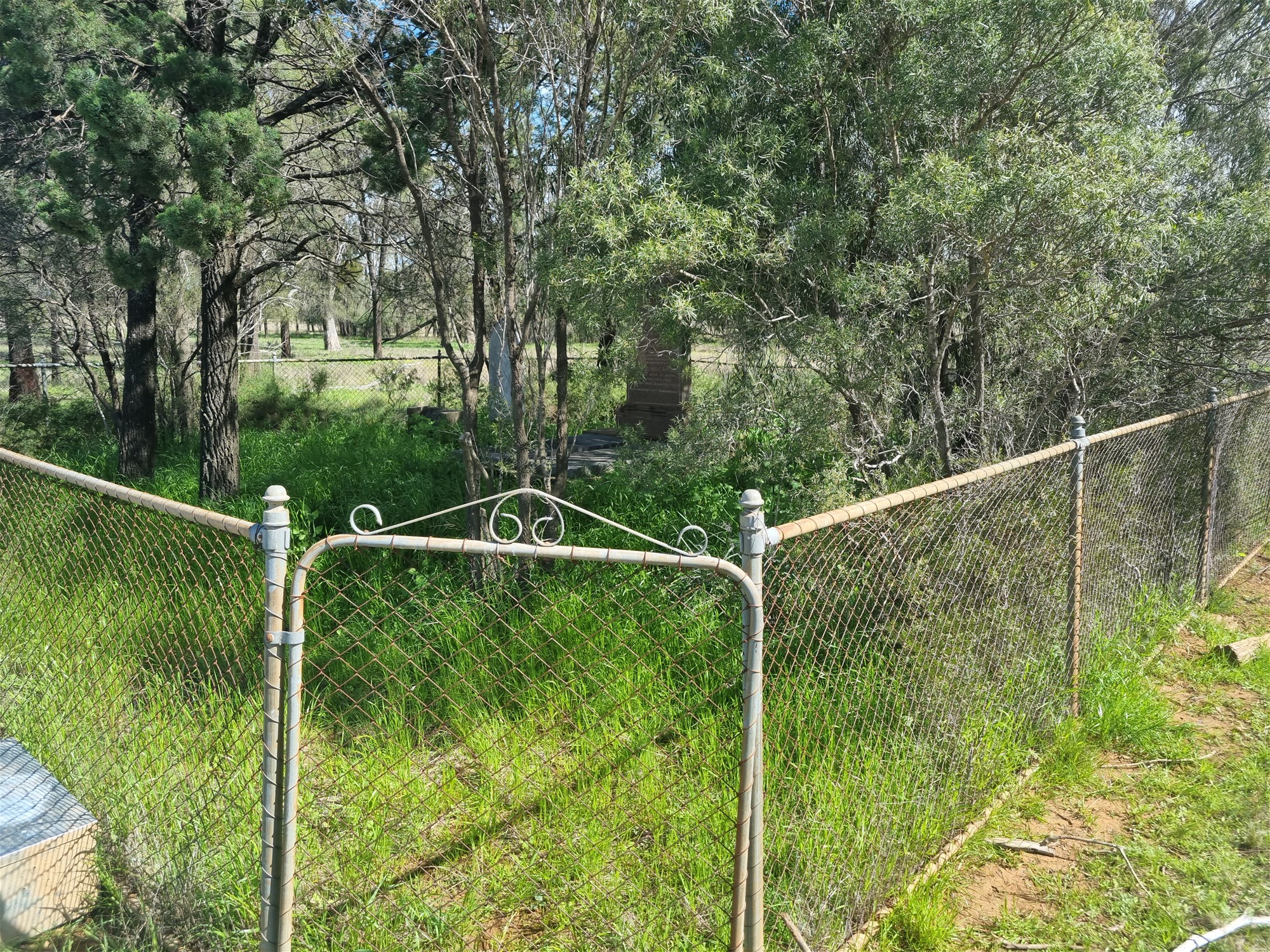 Lot 1 Roseholm Road, Peak Hill For Sale by Farmbuy.com - image 14