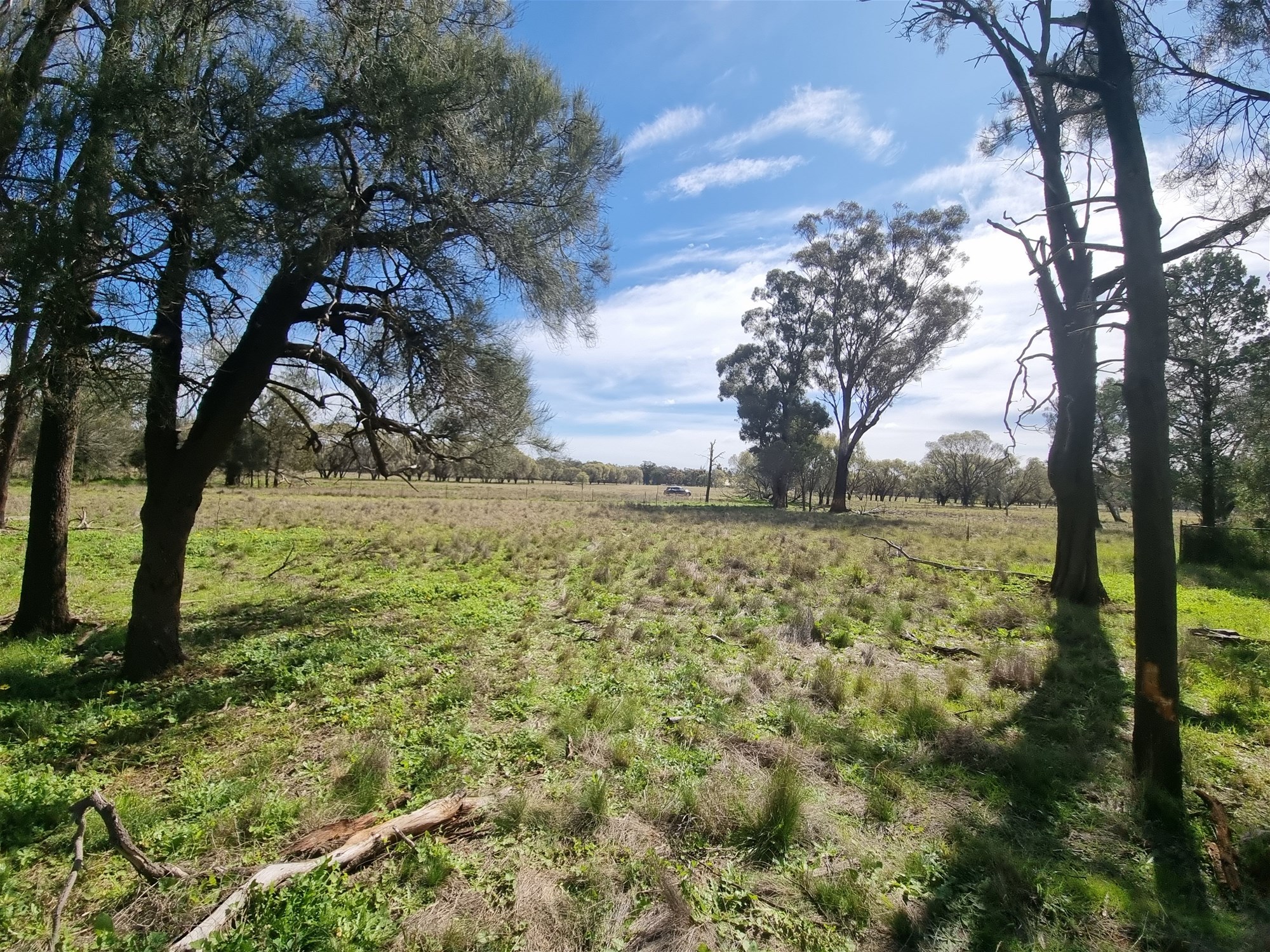 Lot 1 Roseholm Road, Peak Hill For Sale by Farmbuy.com - image 15