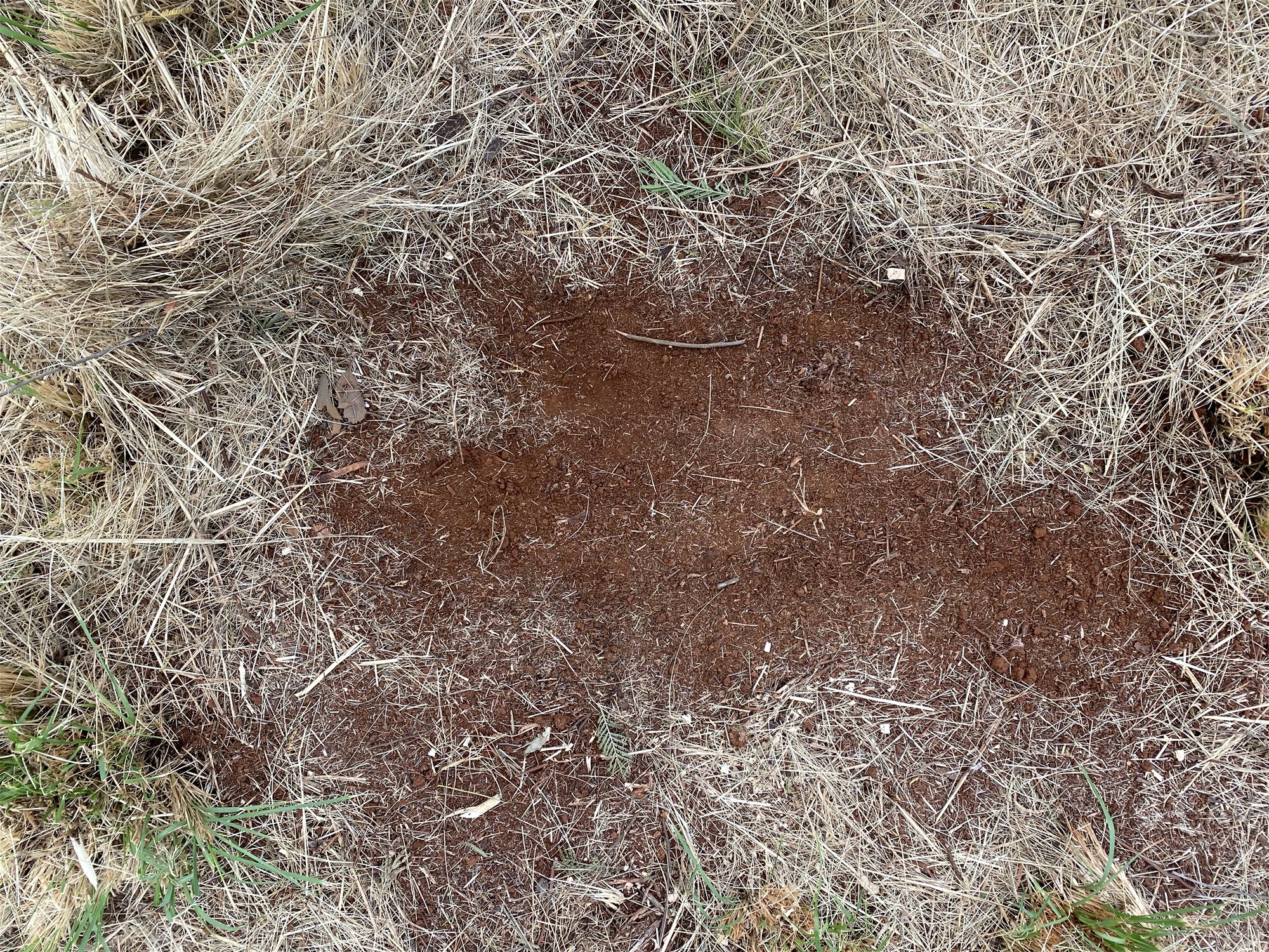 1/2 acre 10 minutes to 6