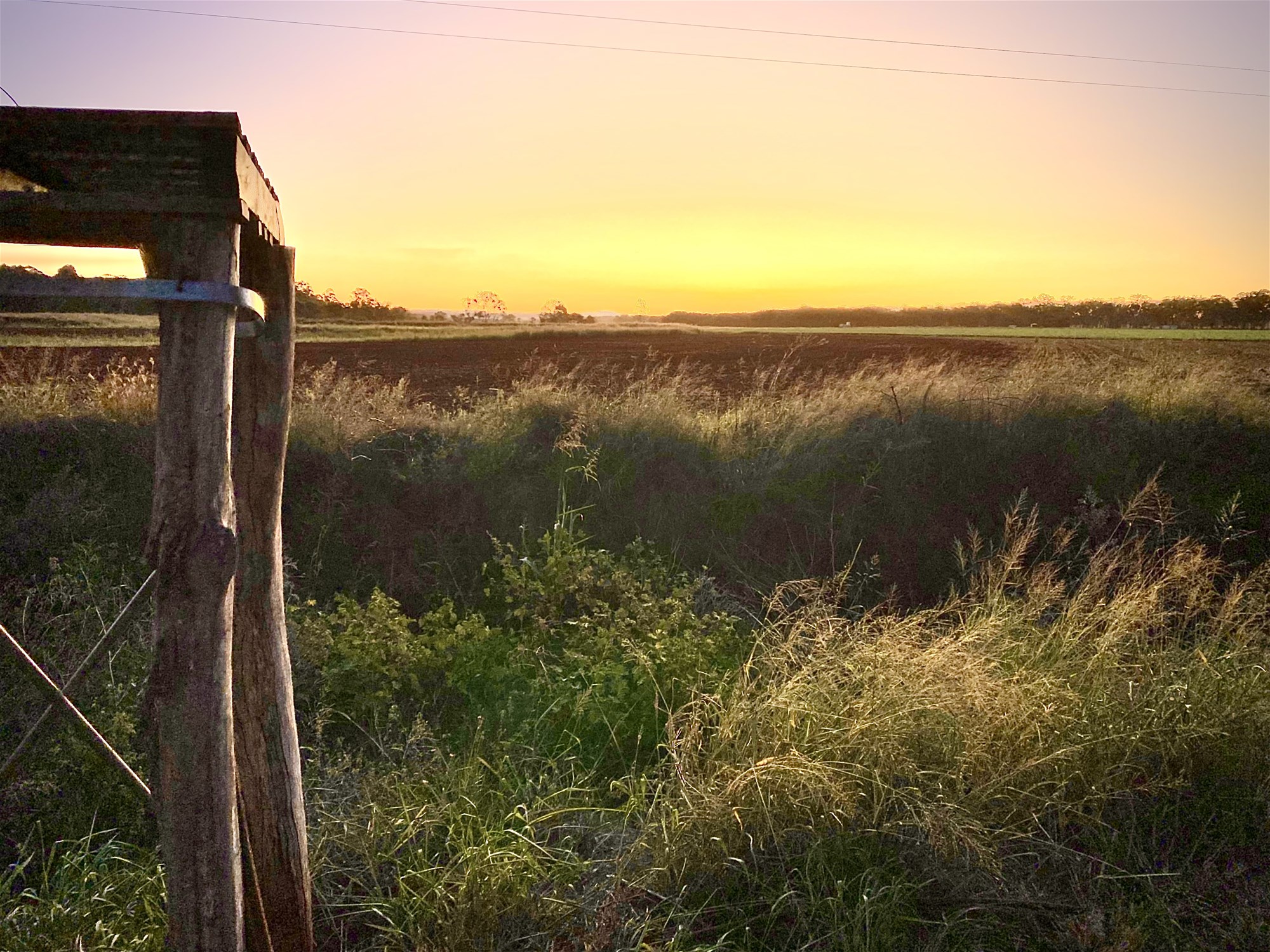 1/2 acre 10 minutes to 7