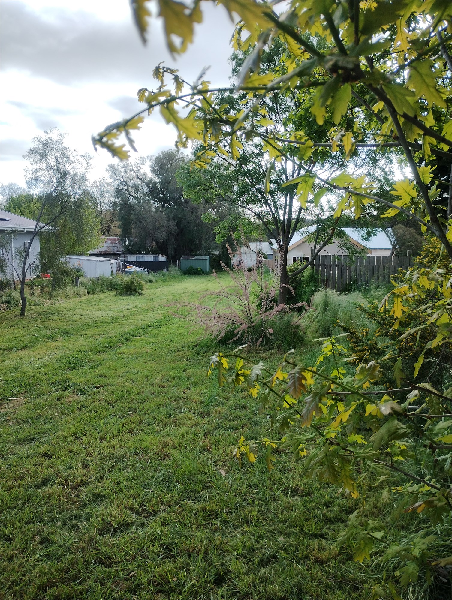 Great central location in Campbells Creek, photo 13