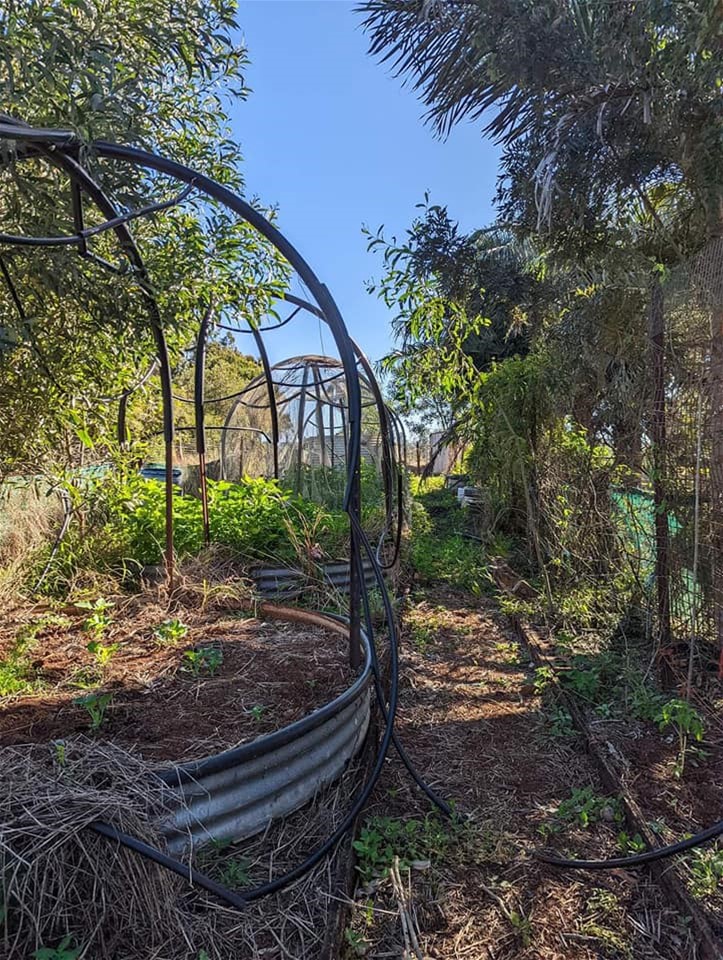 Peaceful, fertile and close amenities! 12