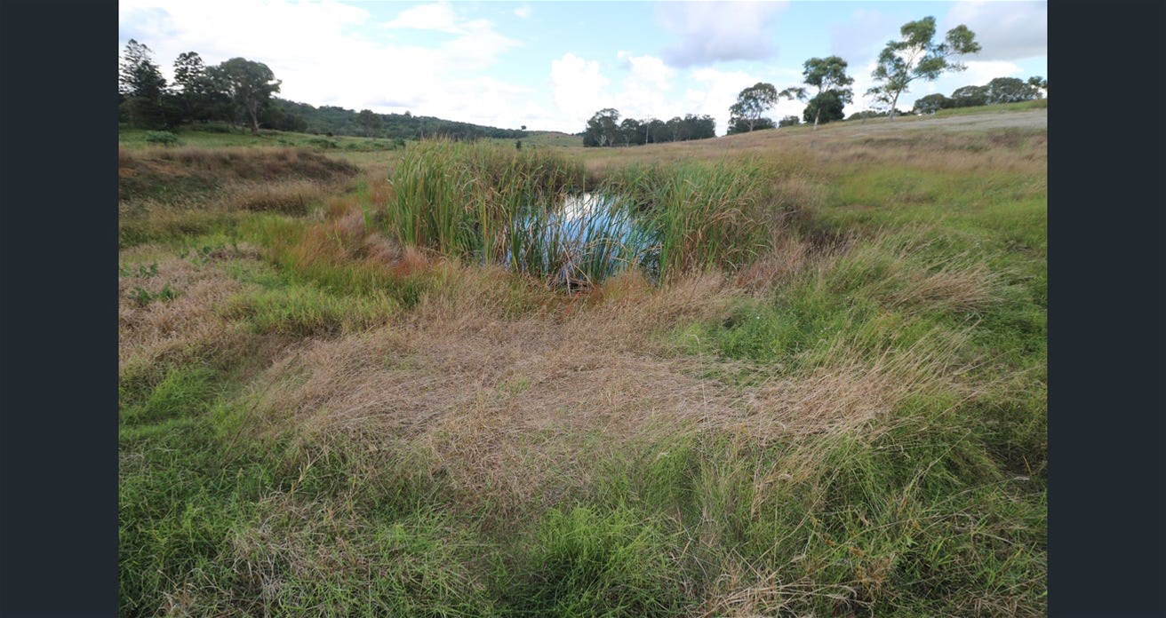 Peaceful, fertile and close amenities! 13