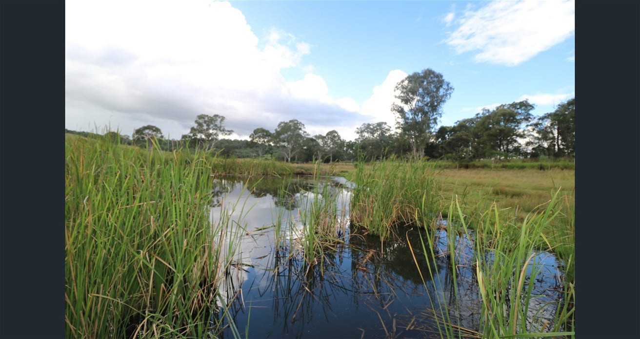 Peaceful, fertile and close amenities! 15