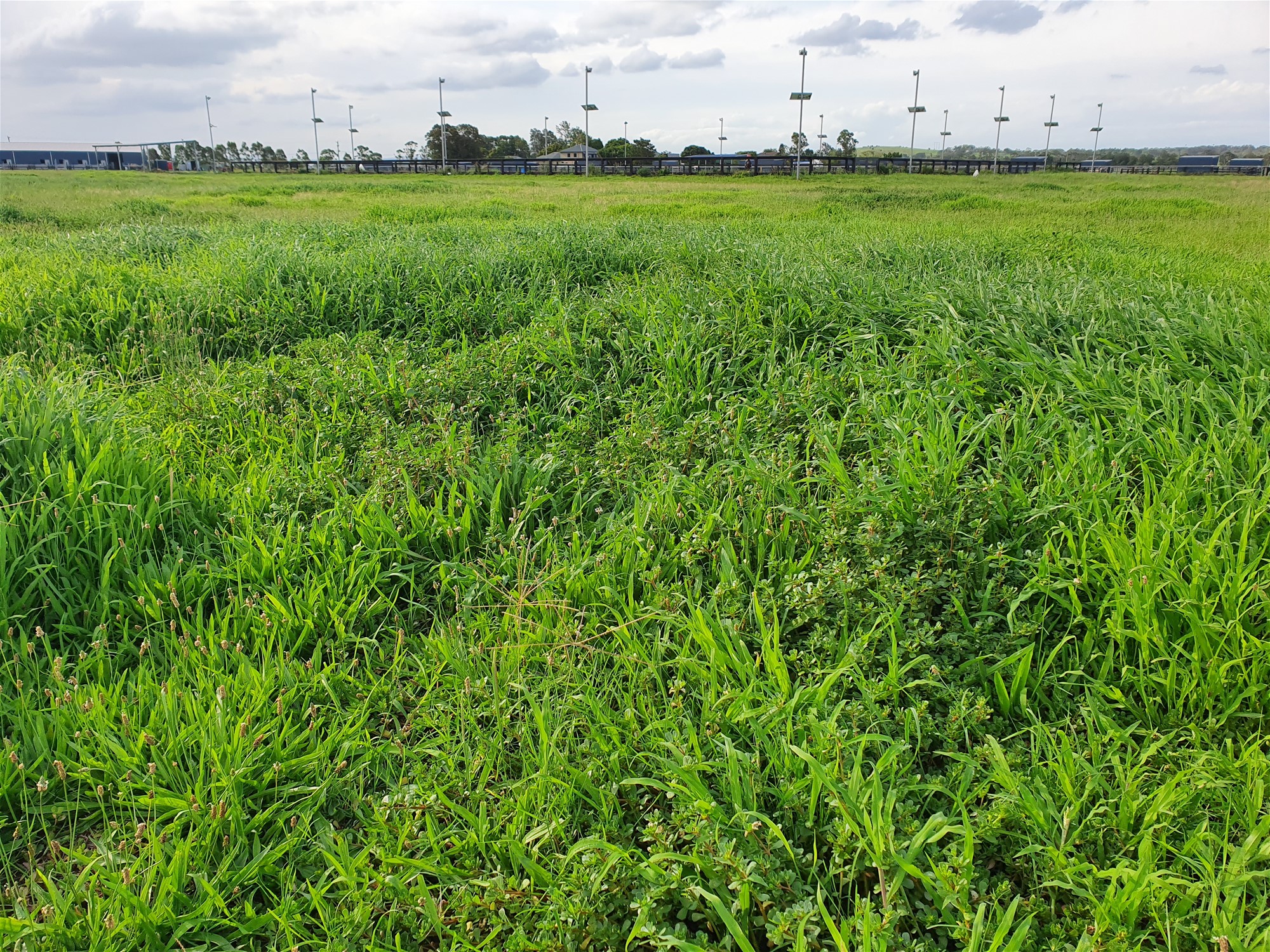 Idyllic Rural Livestock Property Awaits 11