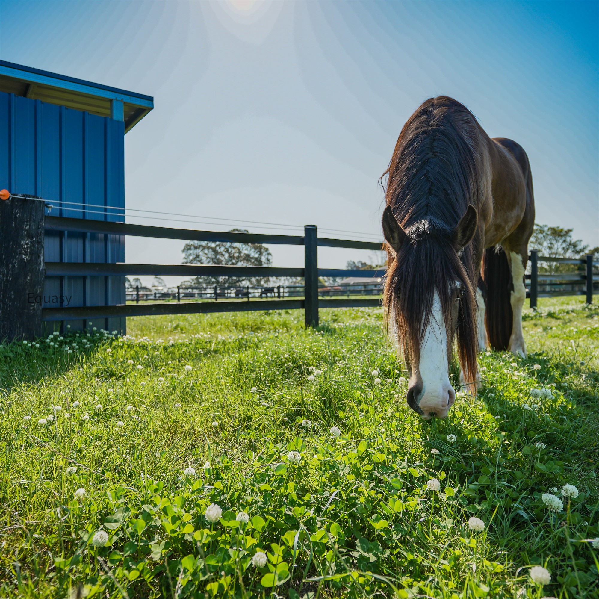 Idyllic Rural Livestock Property Awaits 13
