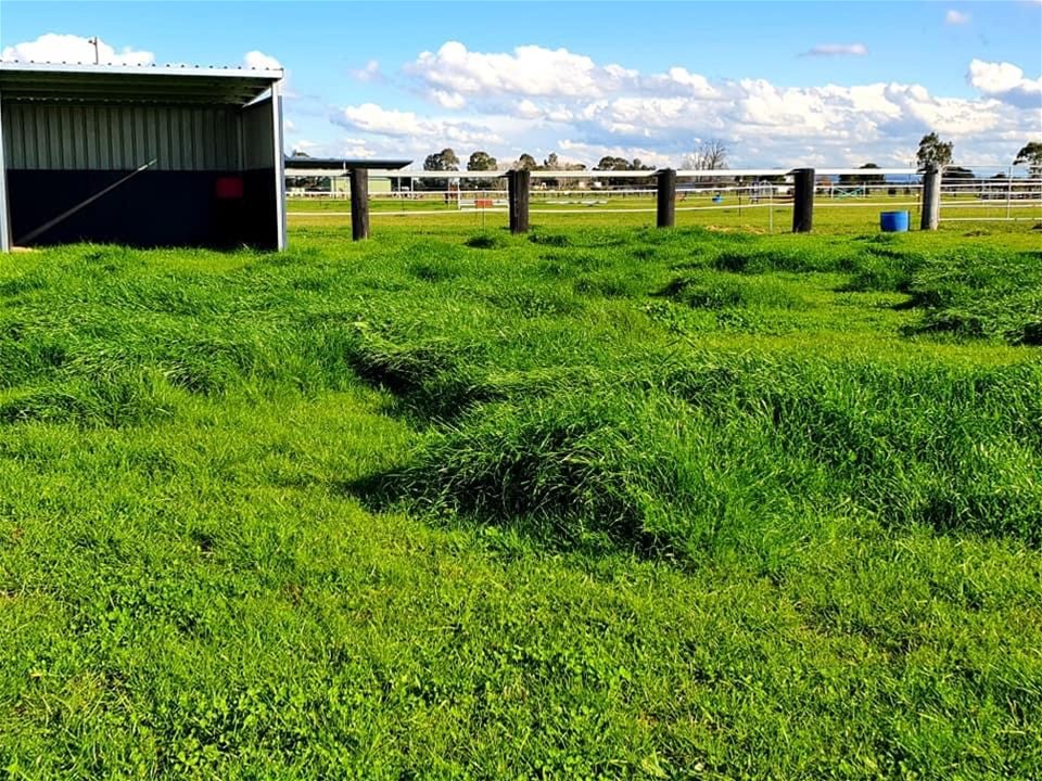Idyllic Rural Livestock Property Awaits 14