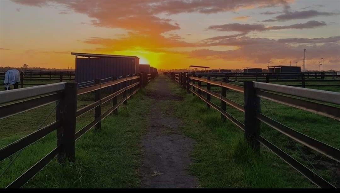 Idyllic Rural Livestock Property Awaits 15