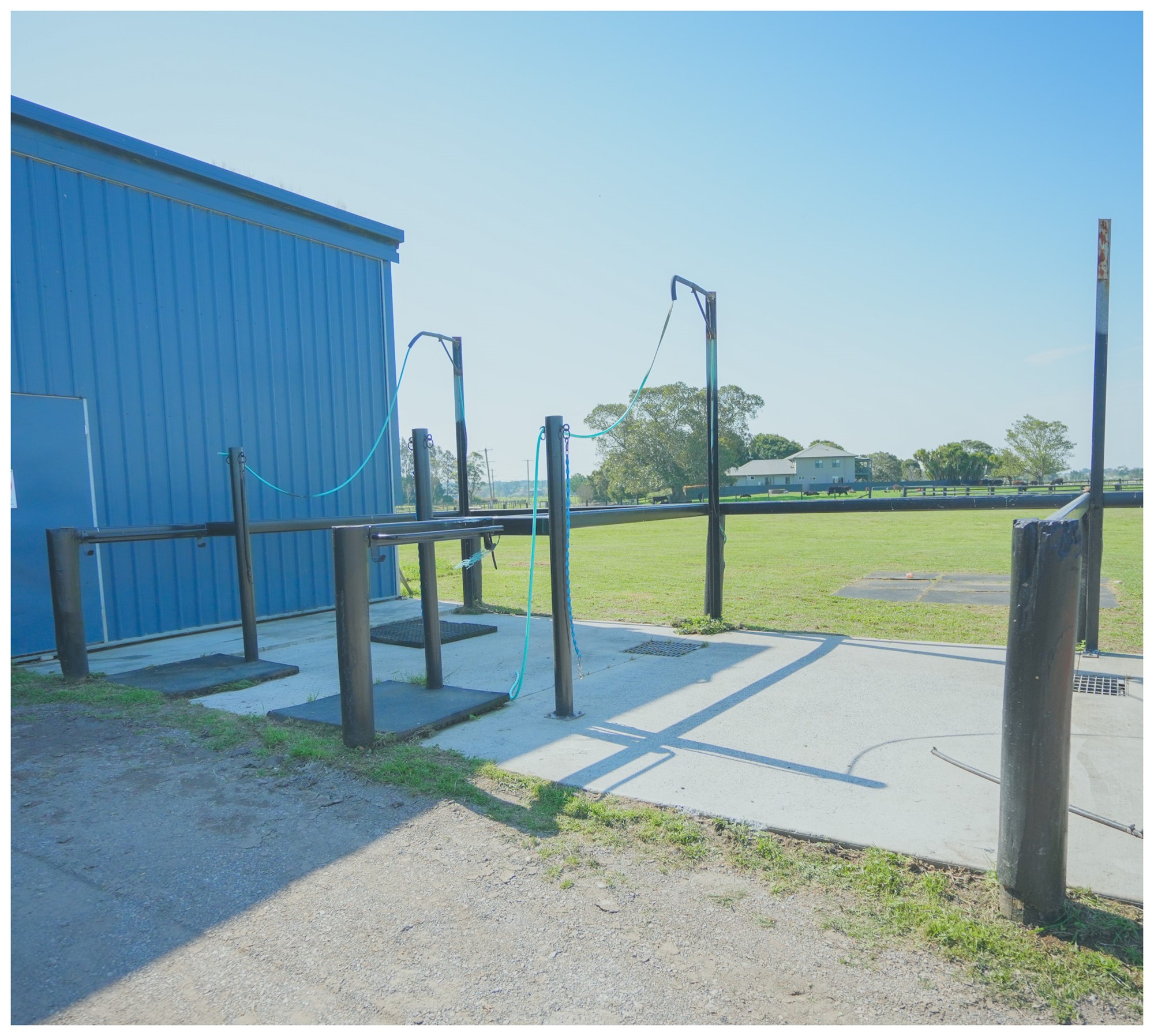 Idyllic Rural Livestock Property Awaits 10