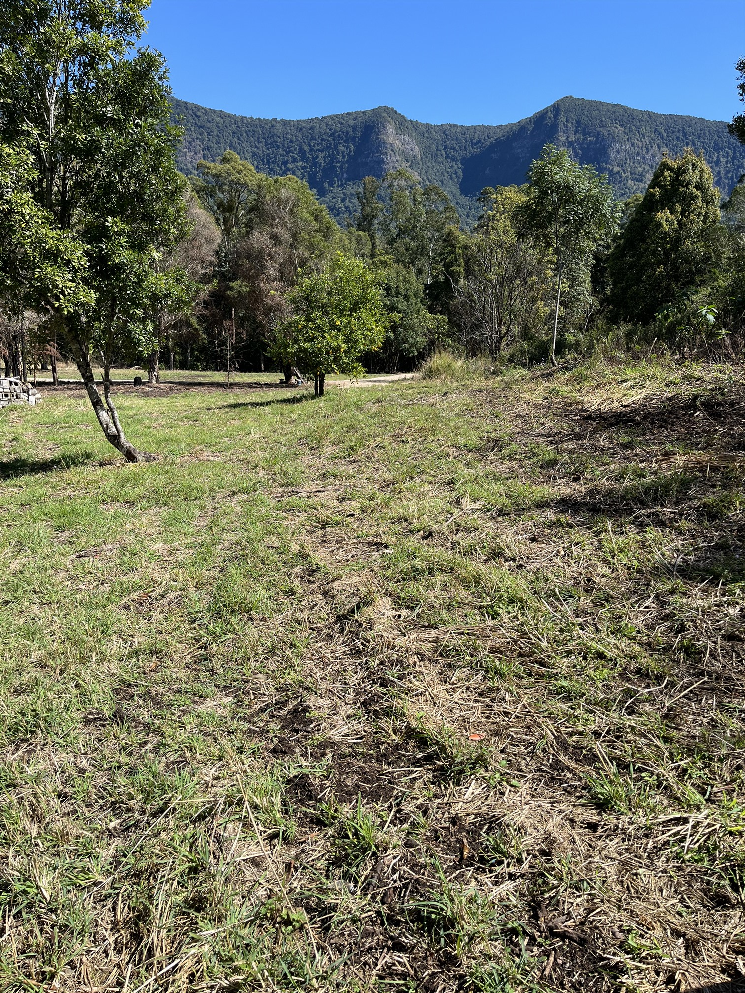 Acreage in the Tweed Valley. 9
