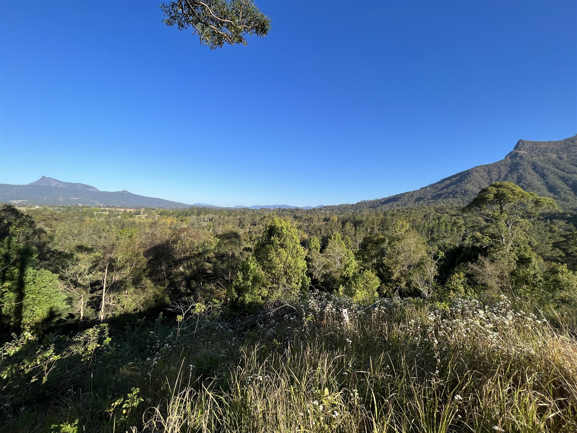 Acreage in the Tweed Valley. 12