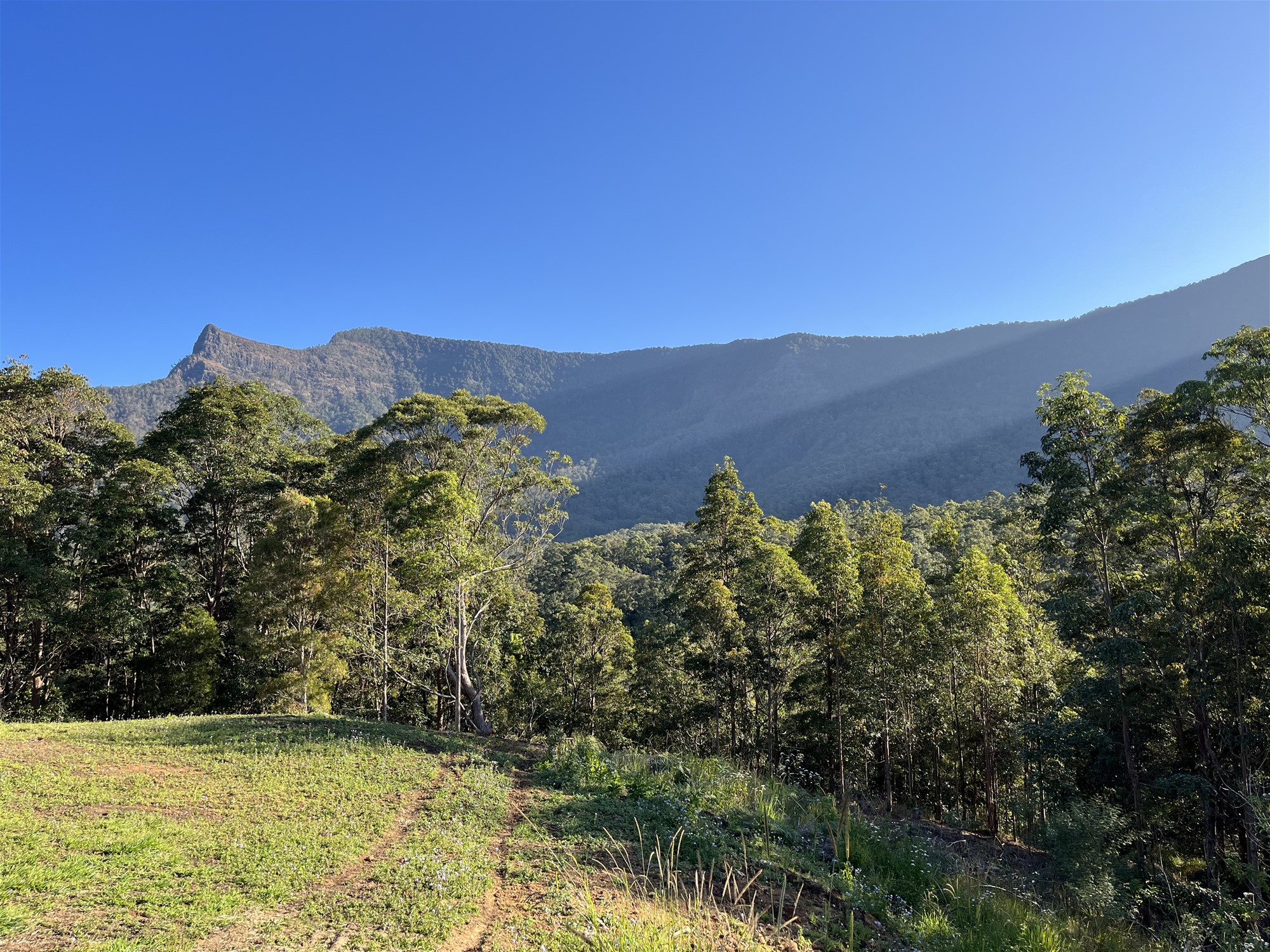Acreage in the Tweed Valley. 13