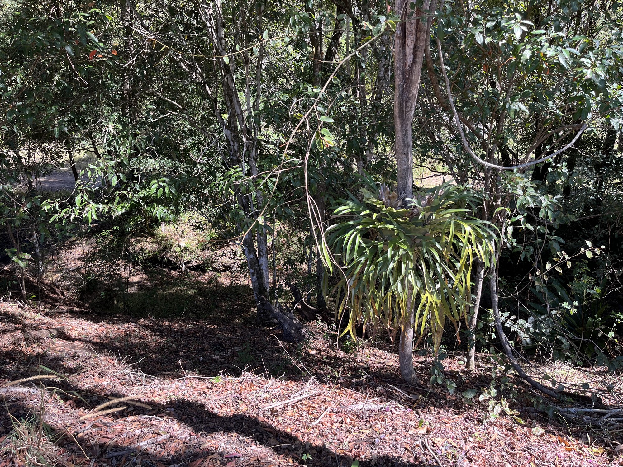 Acreage in the Tweed Valley. 16