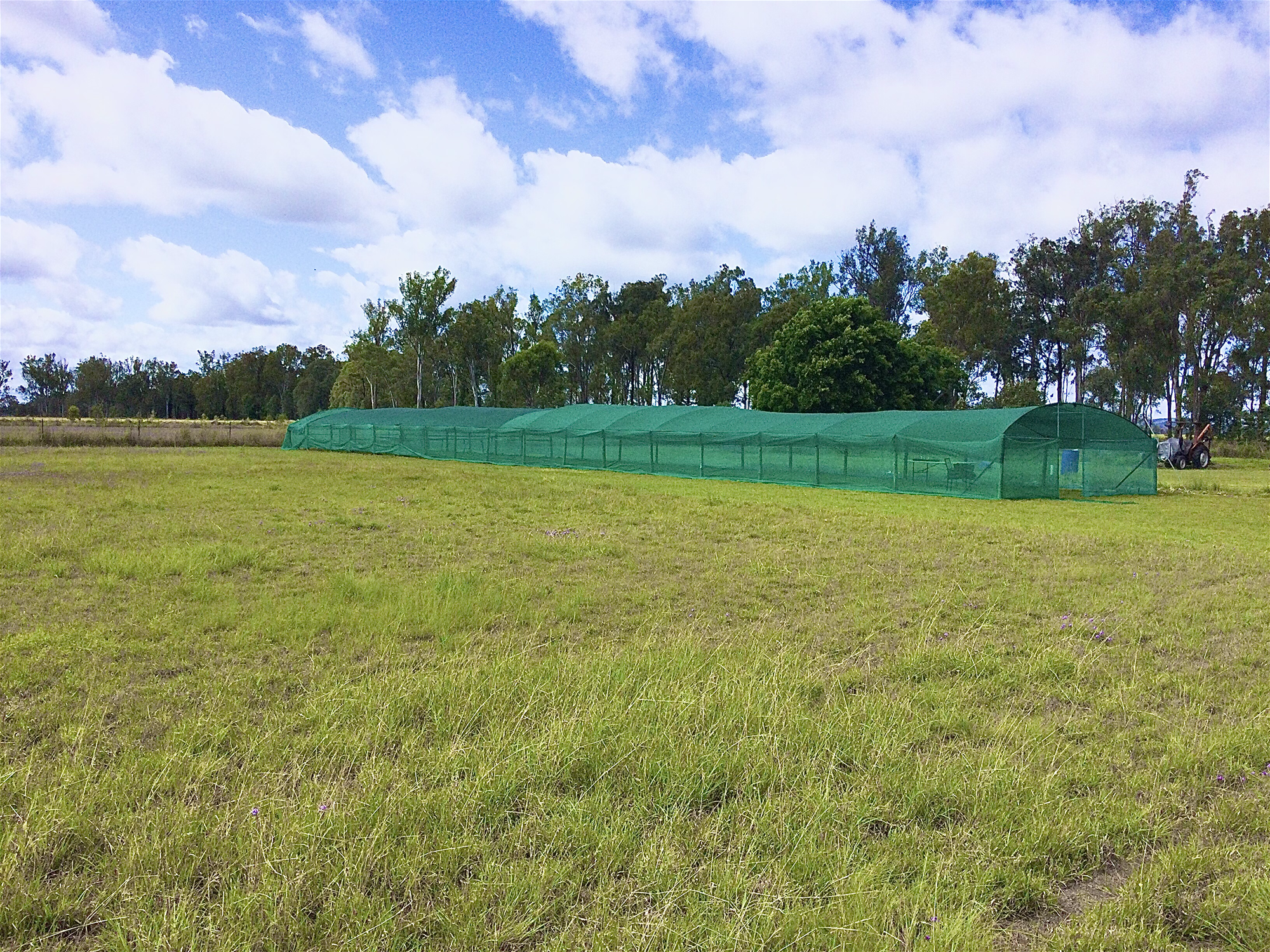 Off-grid property, situated on 3.68 acres of flat land, Shedhouse, 38x6m Shadehouse, Auto Irrigation