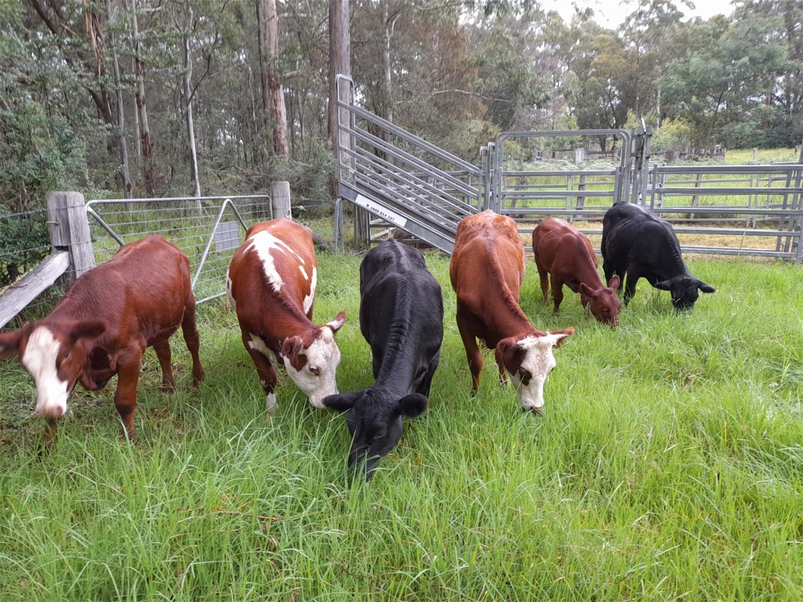 Luxurious lifestyle on 106 riverfront 34