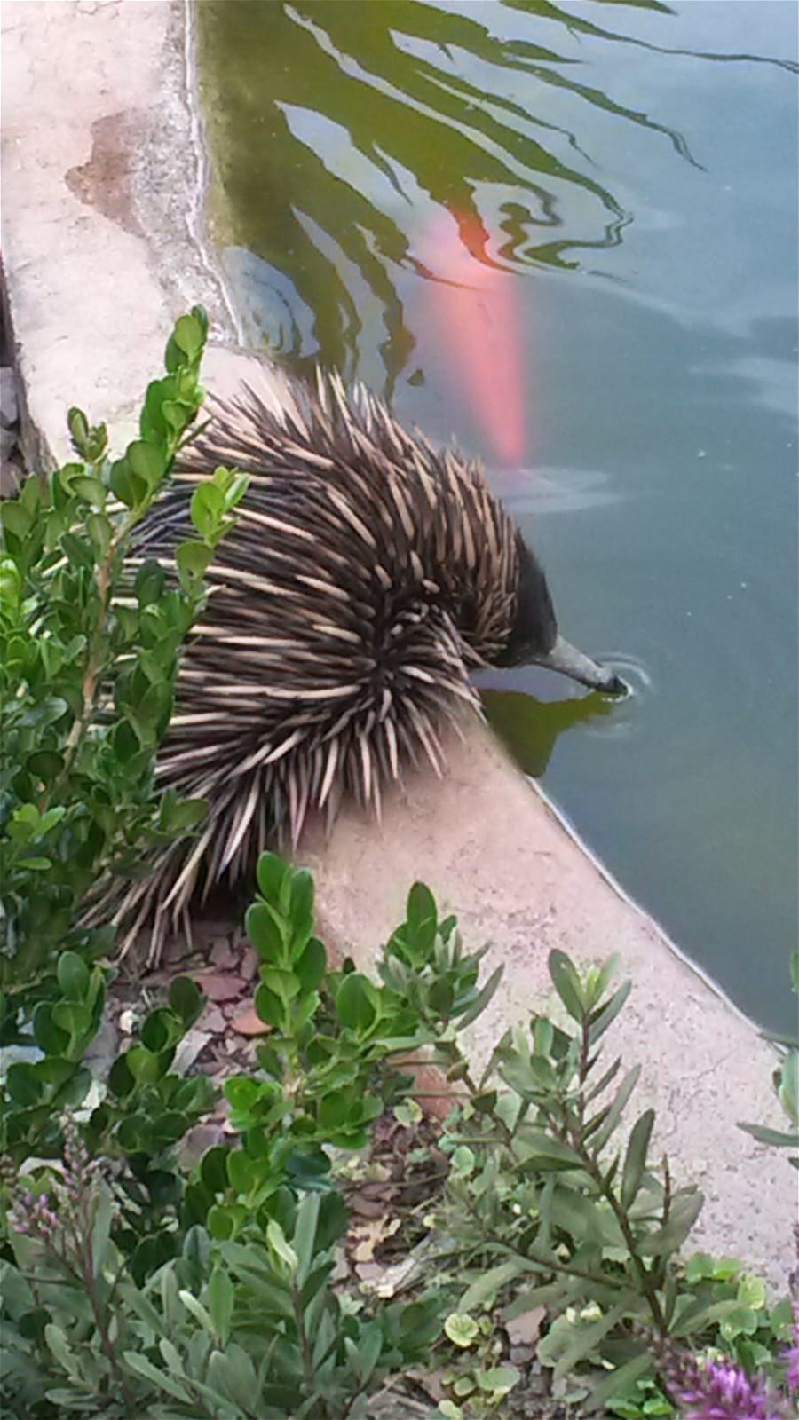 Luxurious lifestyle on 106 riverfront 25