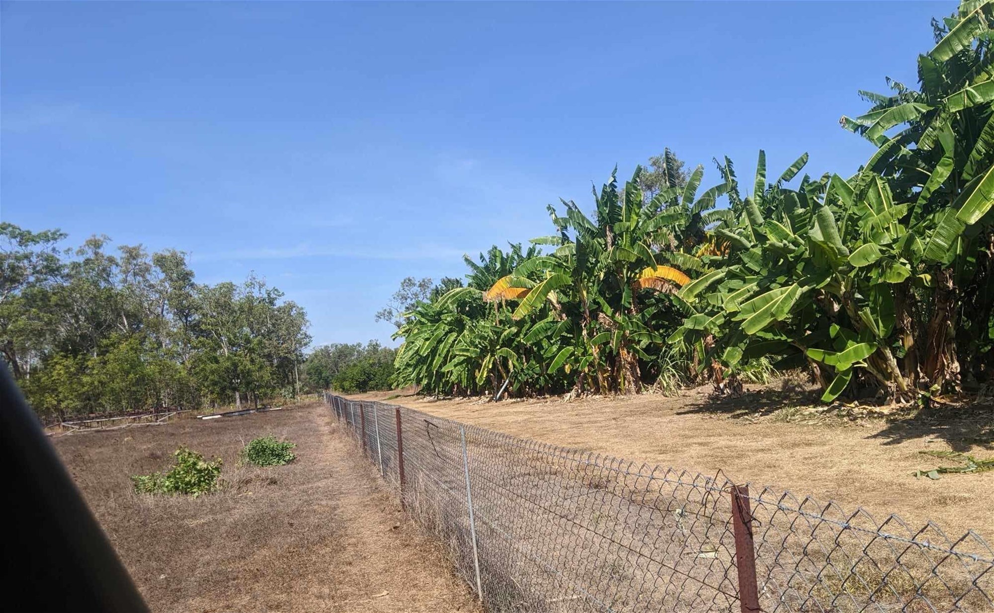 Tropical Haven Investment Opportunity 2