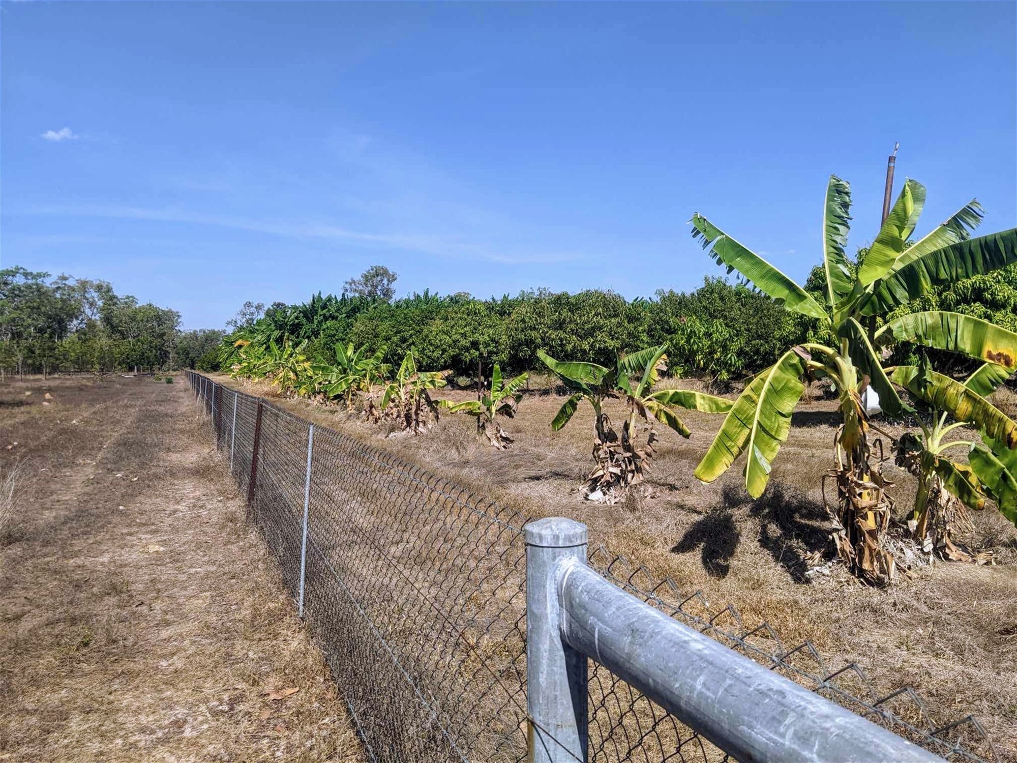 Tropical Haven Investment Opportunity 4