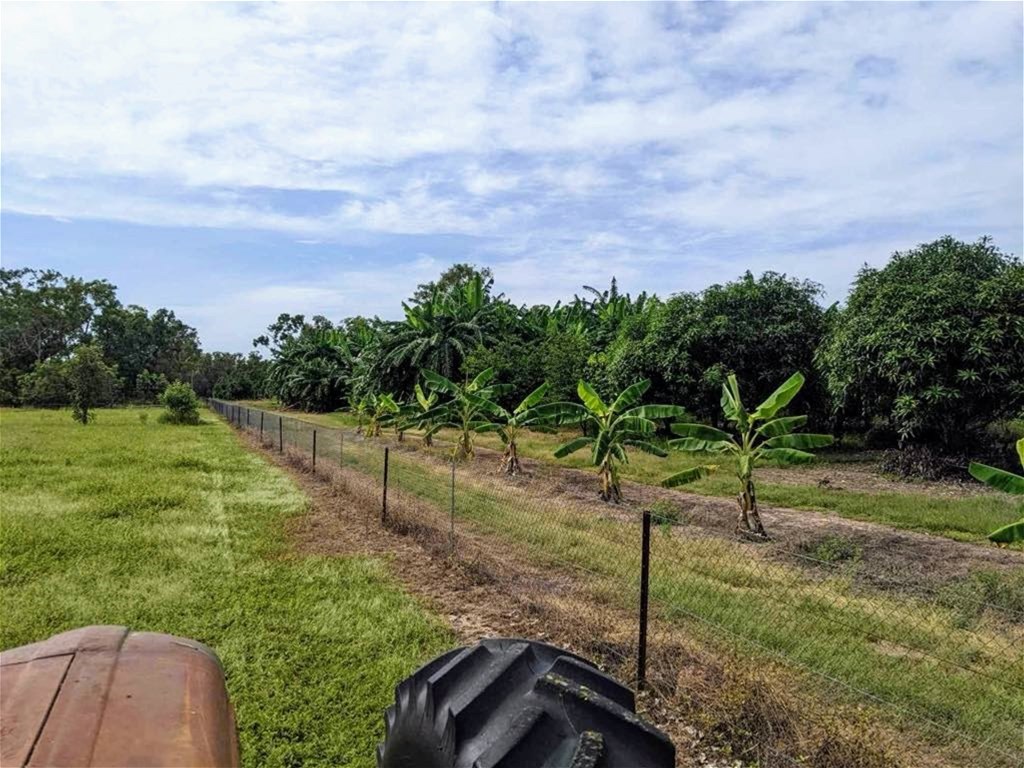 Tropical Haven Investment Opportunity 5