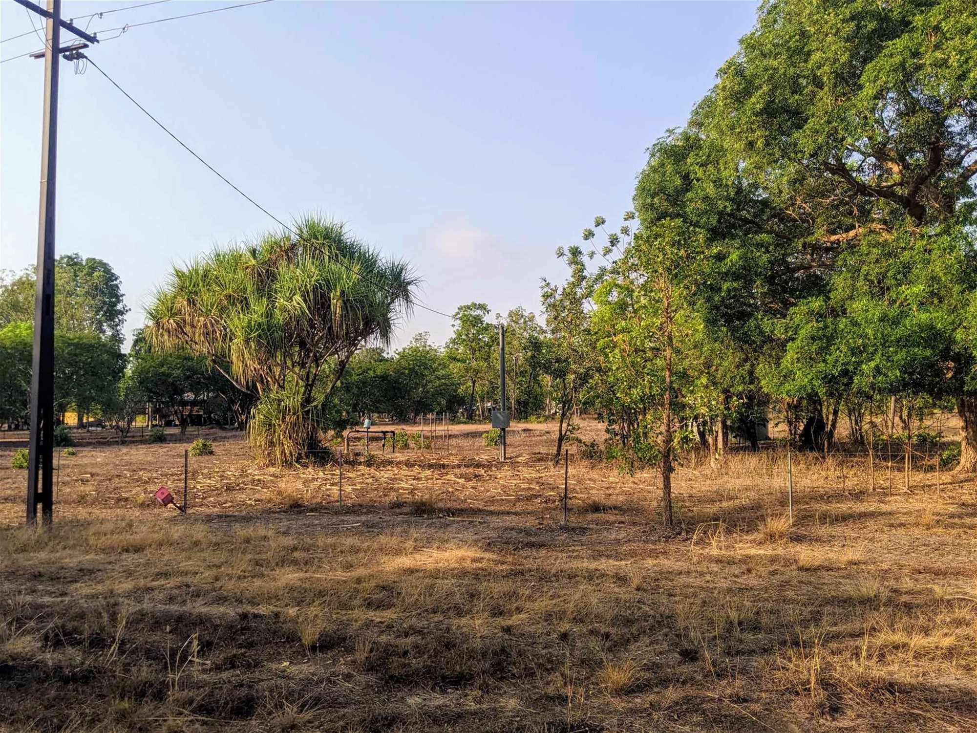 Tropical Haven Investment Opportunity 8