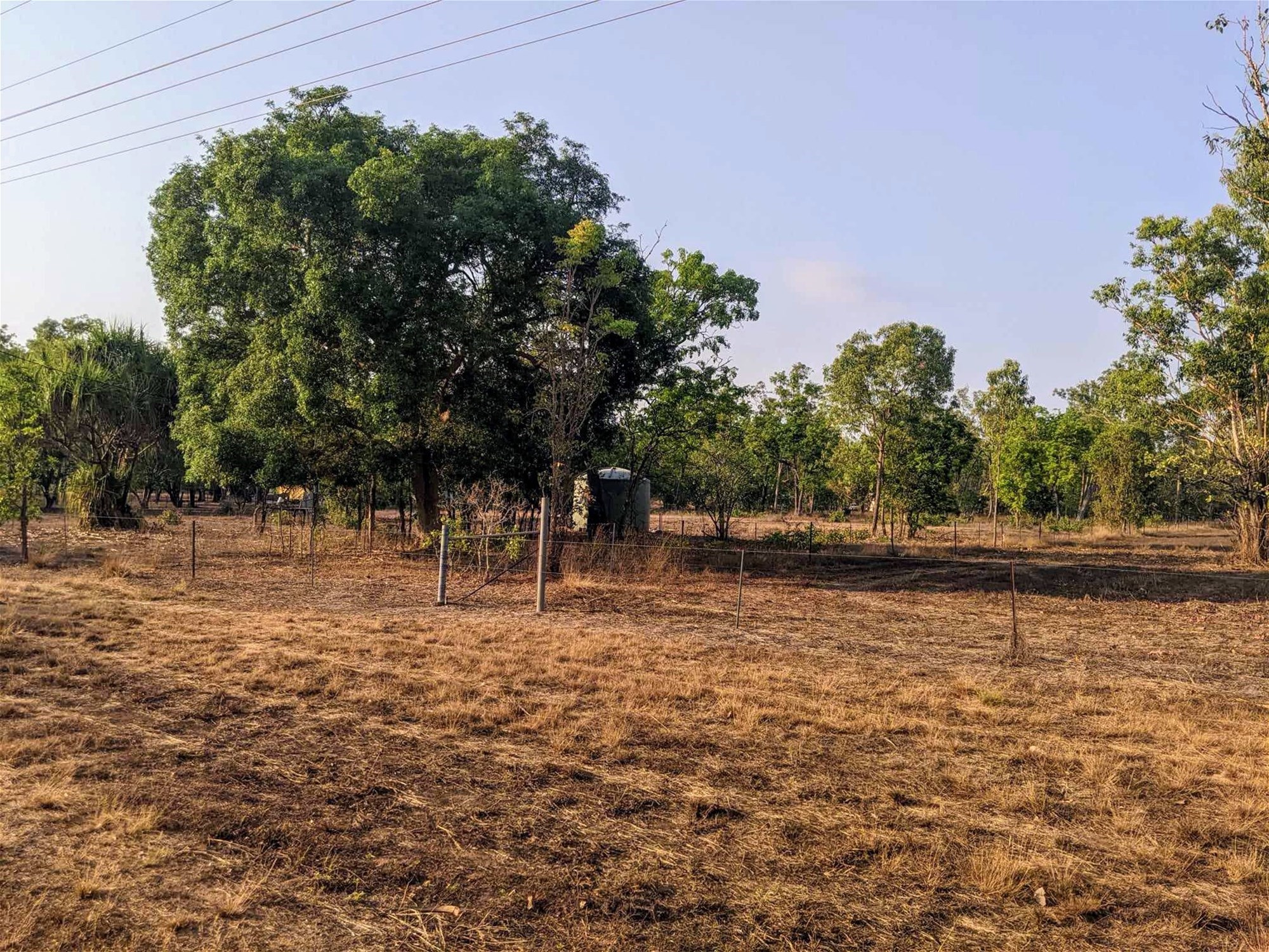 Tropical Haven Investment Opportunity 9