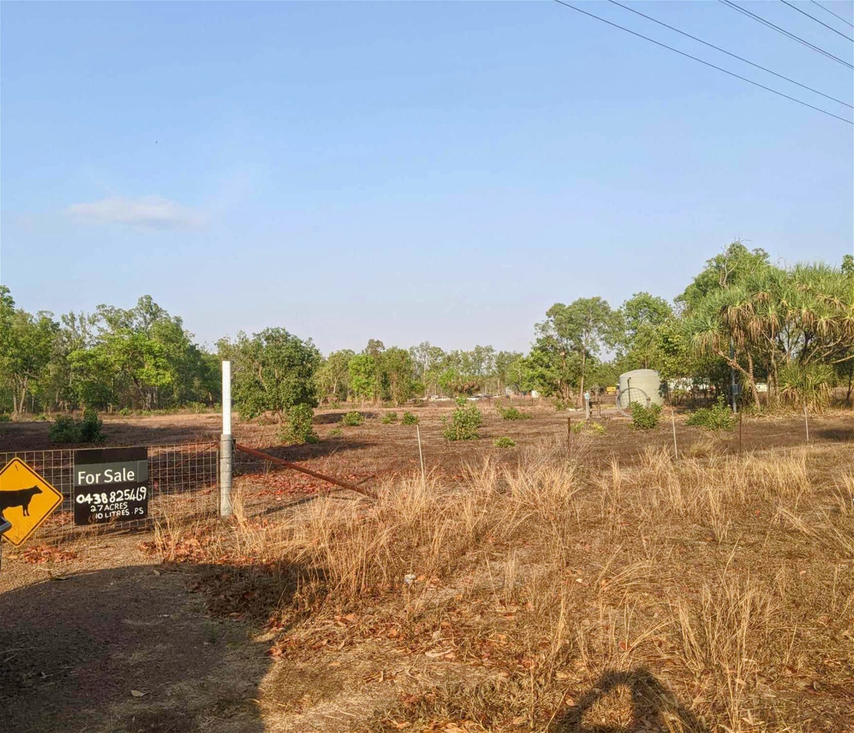 Tropical Haven Investment Opportunity 10